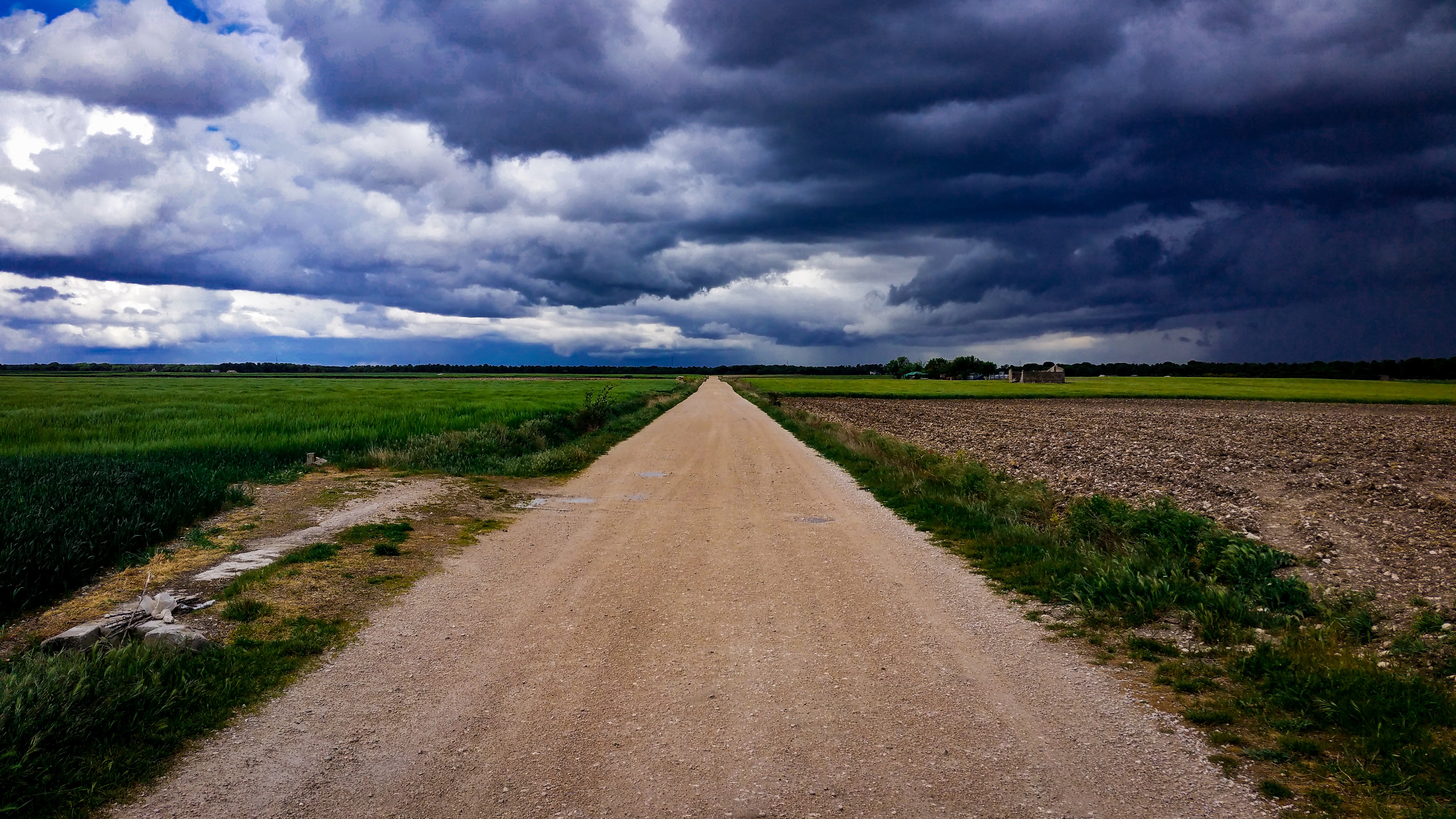 Dirt road surrounded with green field under cloudy sky photo