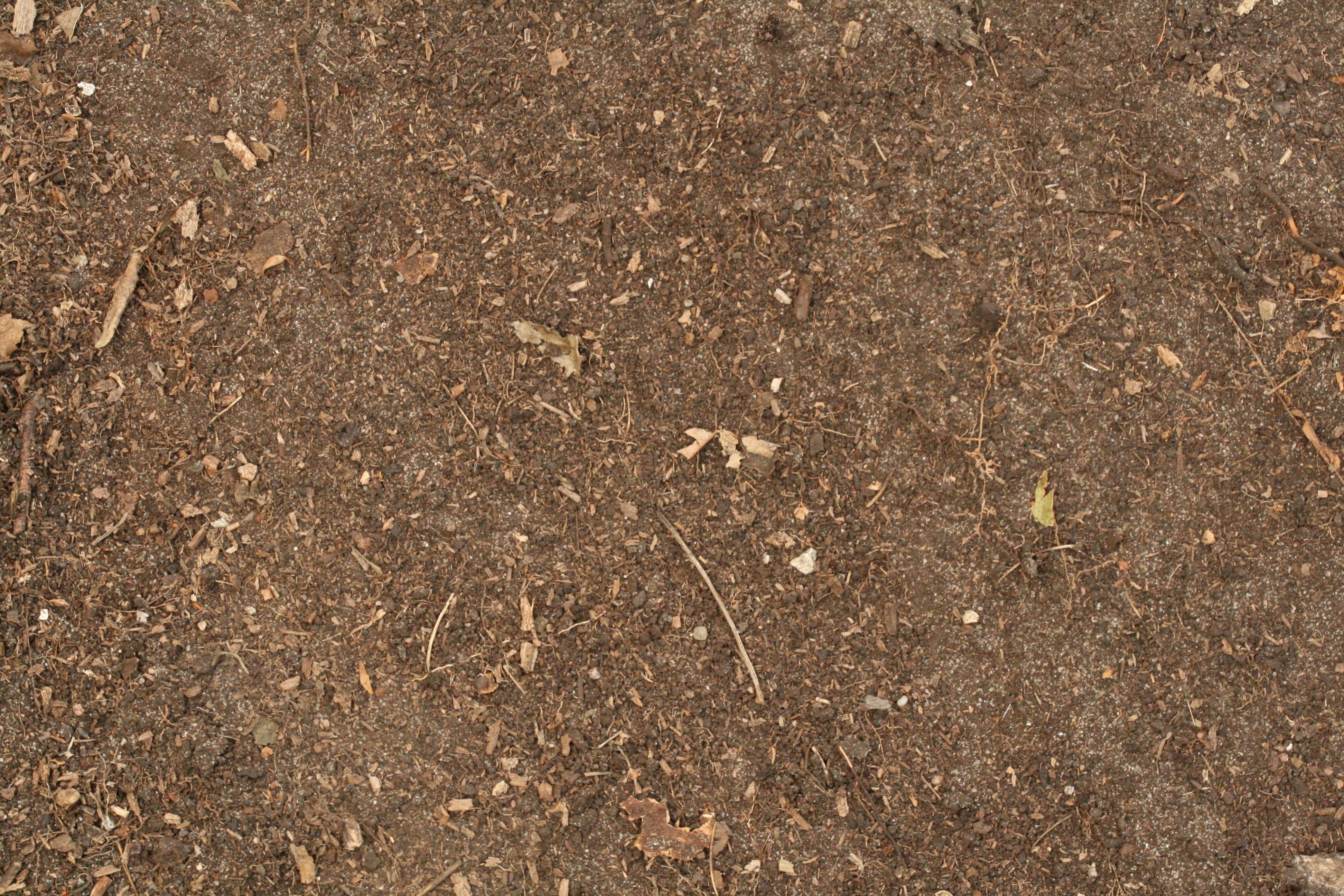 Dirt texture photo
