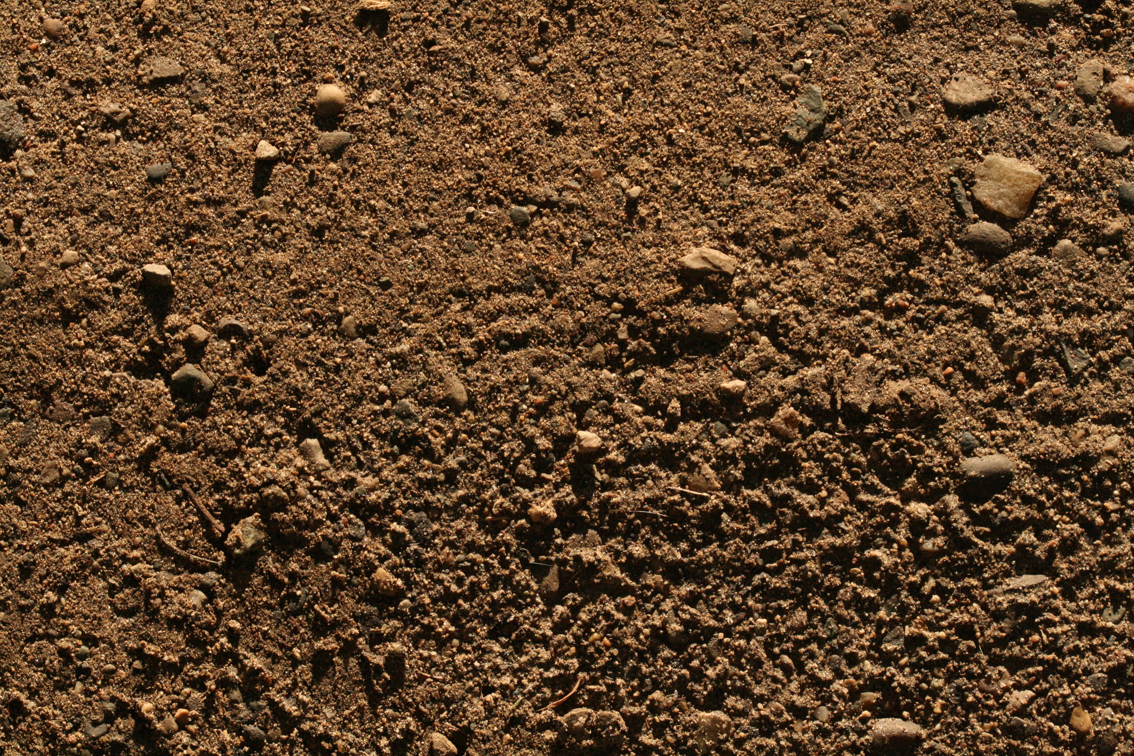 Free photo: Dirt Texture - Brown, Dirt, Earth - Free Download - Jooinn