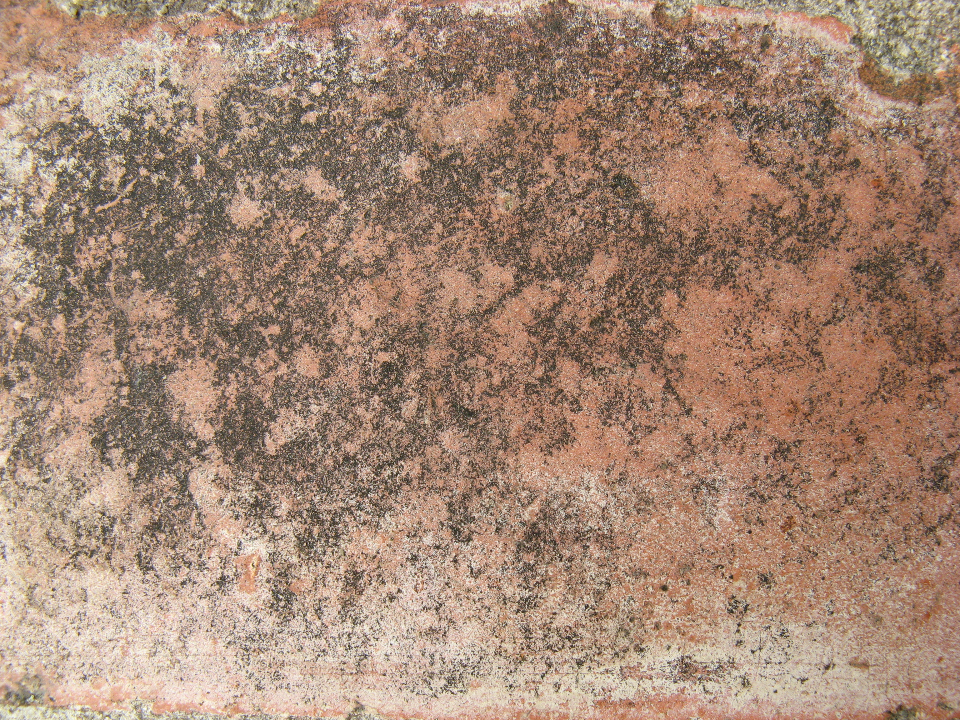 Free Grunge texture (brick, dirt, red)