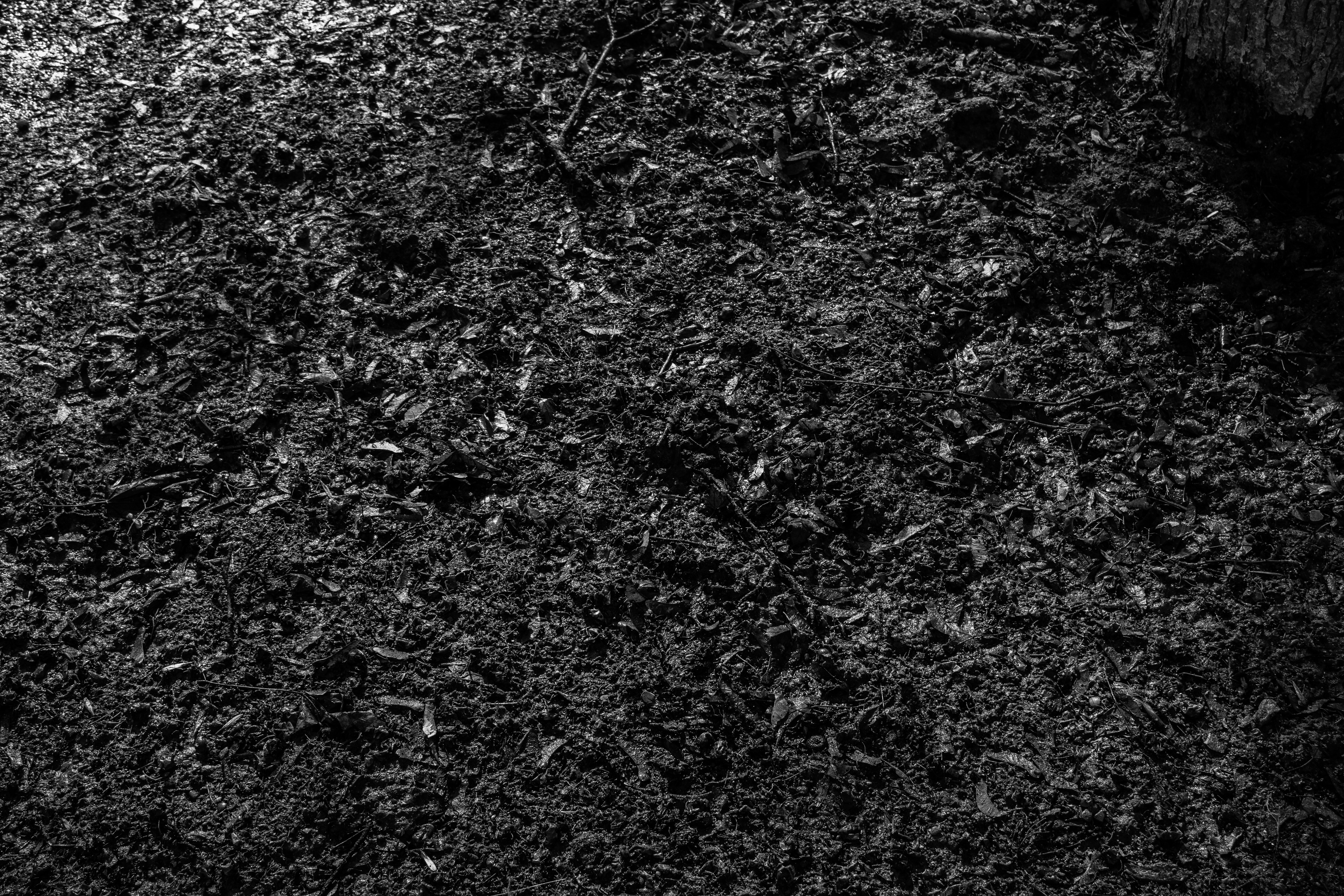 Free stock photo of dirt, ground, mud