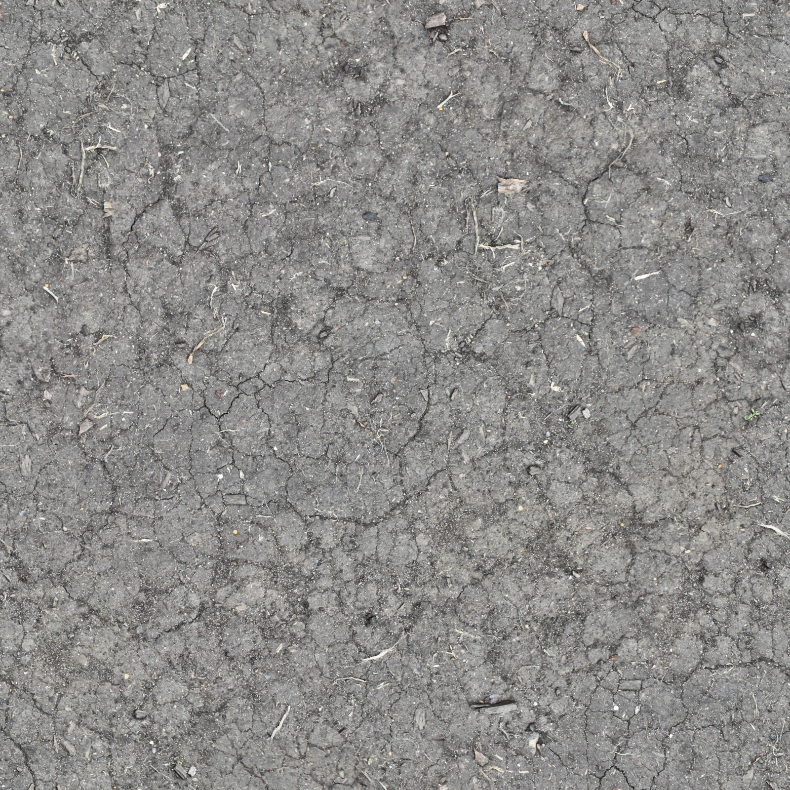 High Resolution Seamless Textures: Seamless hardened dirt ground texture