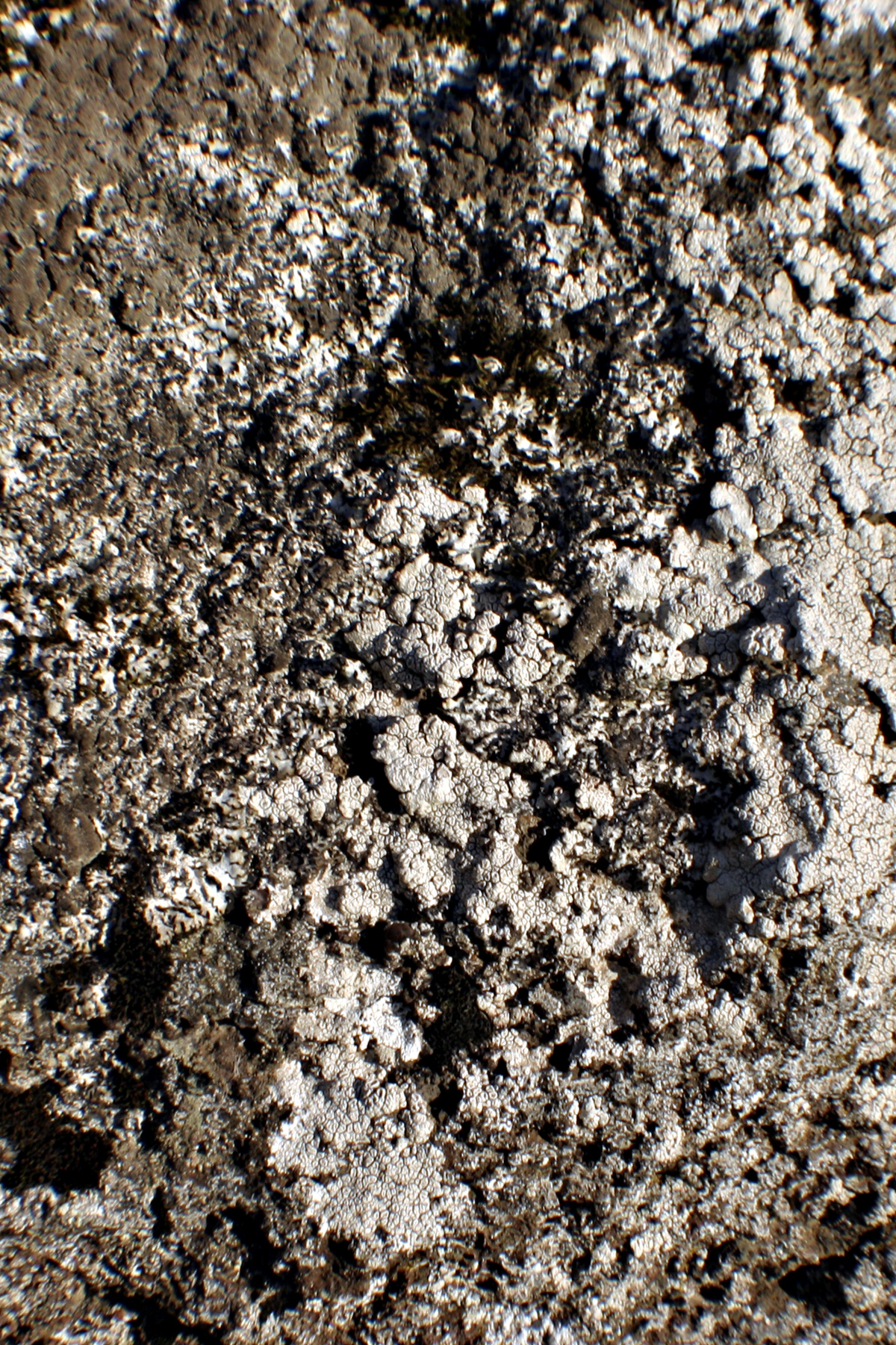 Free photo: Dirt texture - Clay, Cracked, Dirt - Free Download - Jooinn
