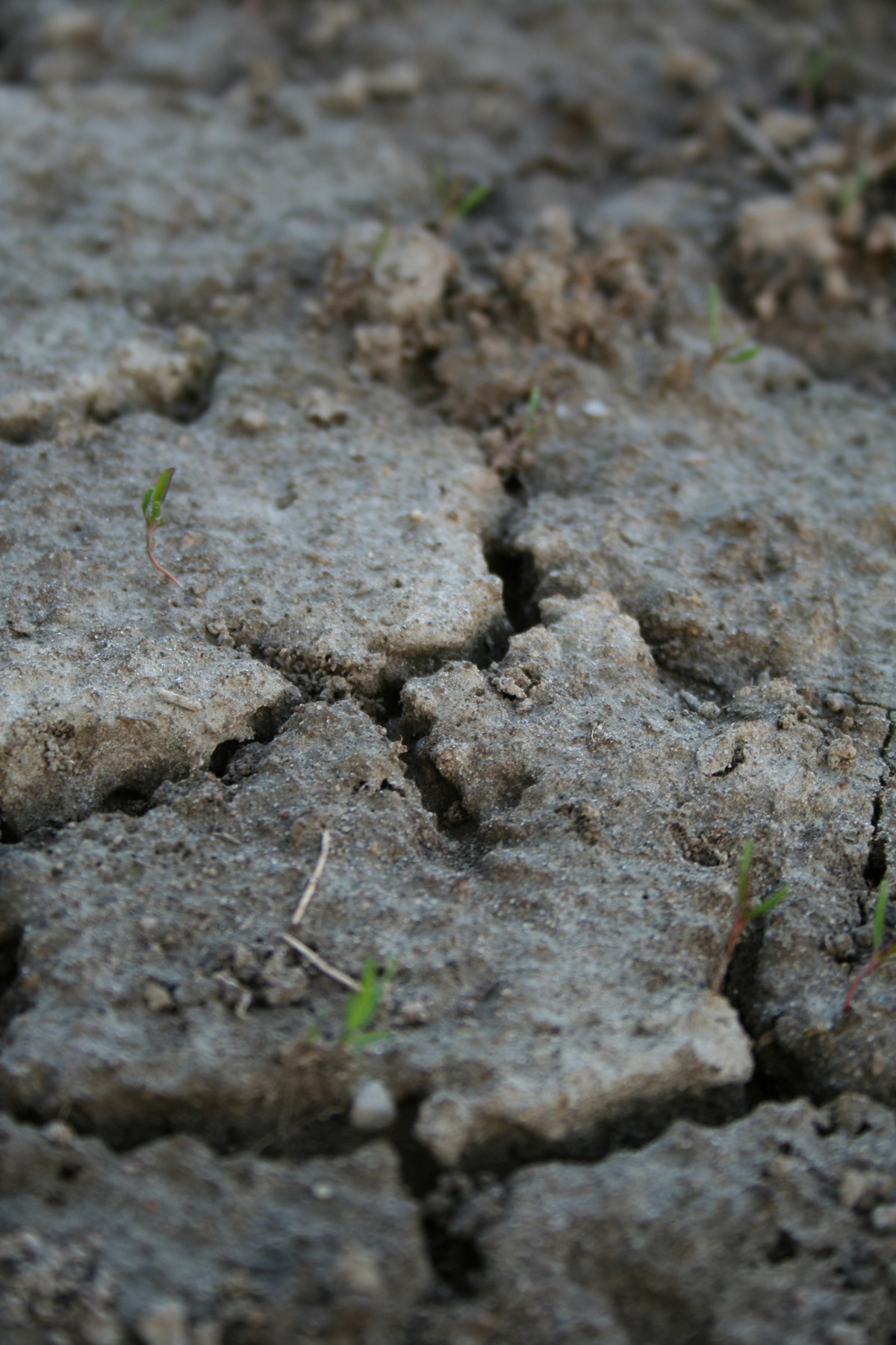 Dirt texture, Cracked, Dirt, Dry, Earth, HQ Photo