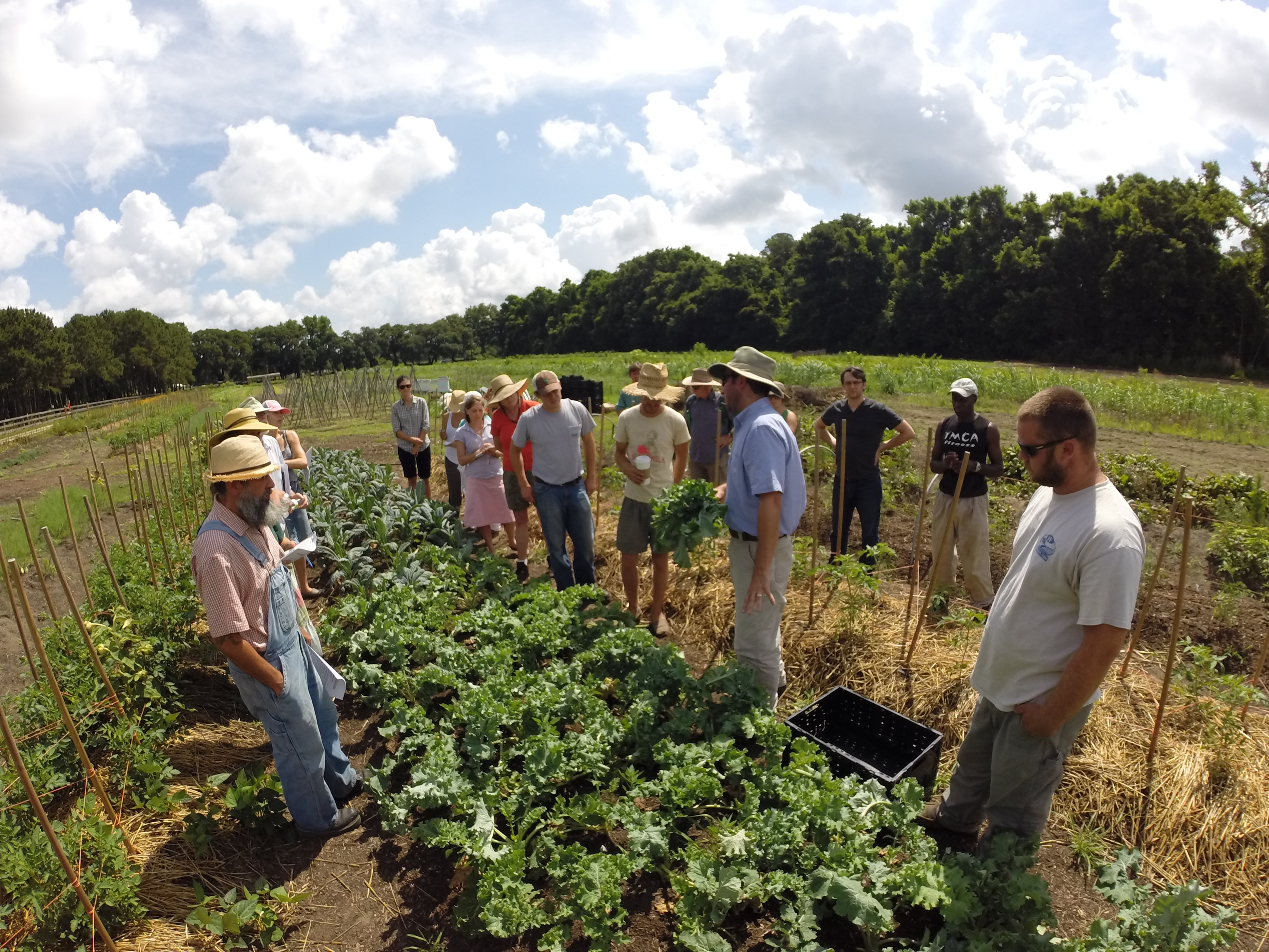 Dirt Works Incubator Farm: Building Land Access and Community in ...