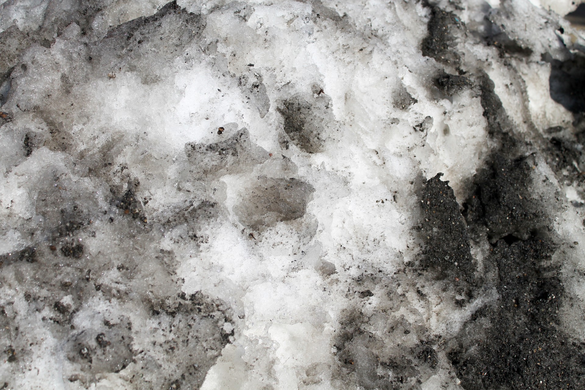 Dirty Snow Background - 01 Free Stock Photo - Public Domain Pictures