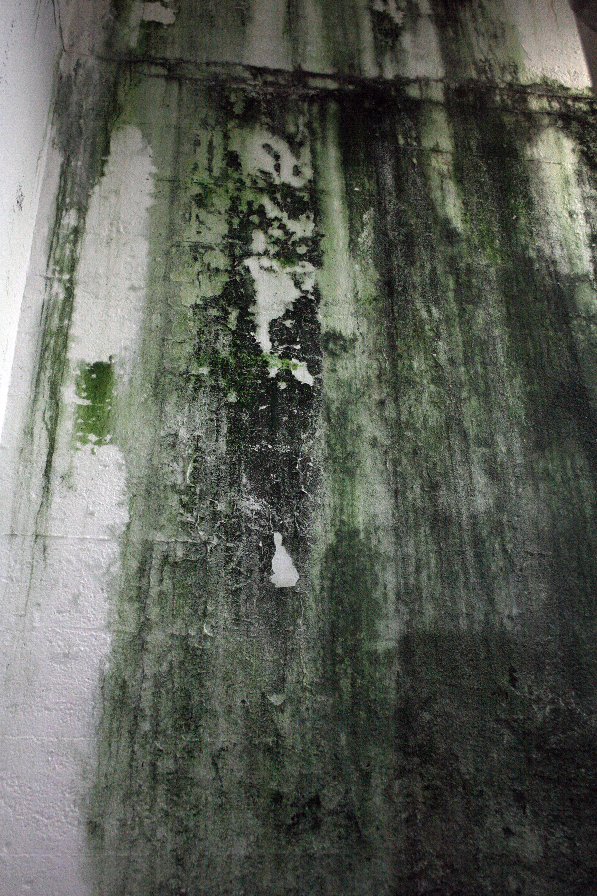 Dirty concrete wall, Cement, Colored, Concrete, Dirty, HQ Photo