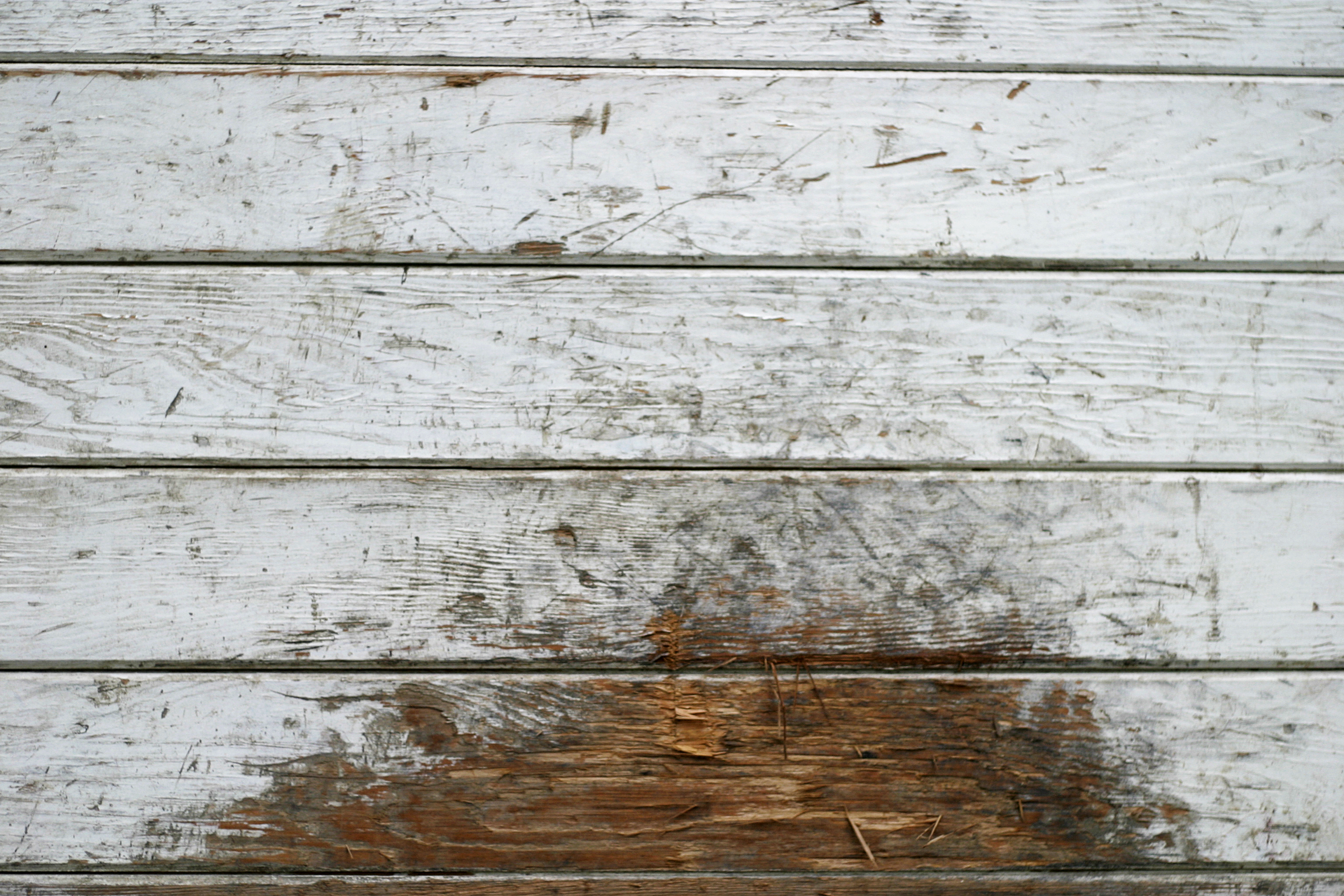 Free Dirty Grungy Nature Wood Texture Texture - L+T