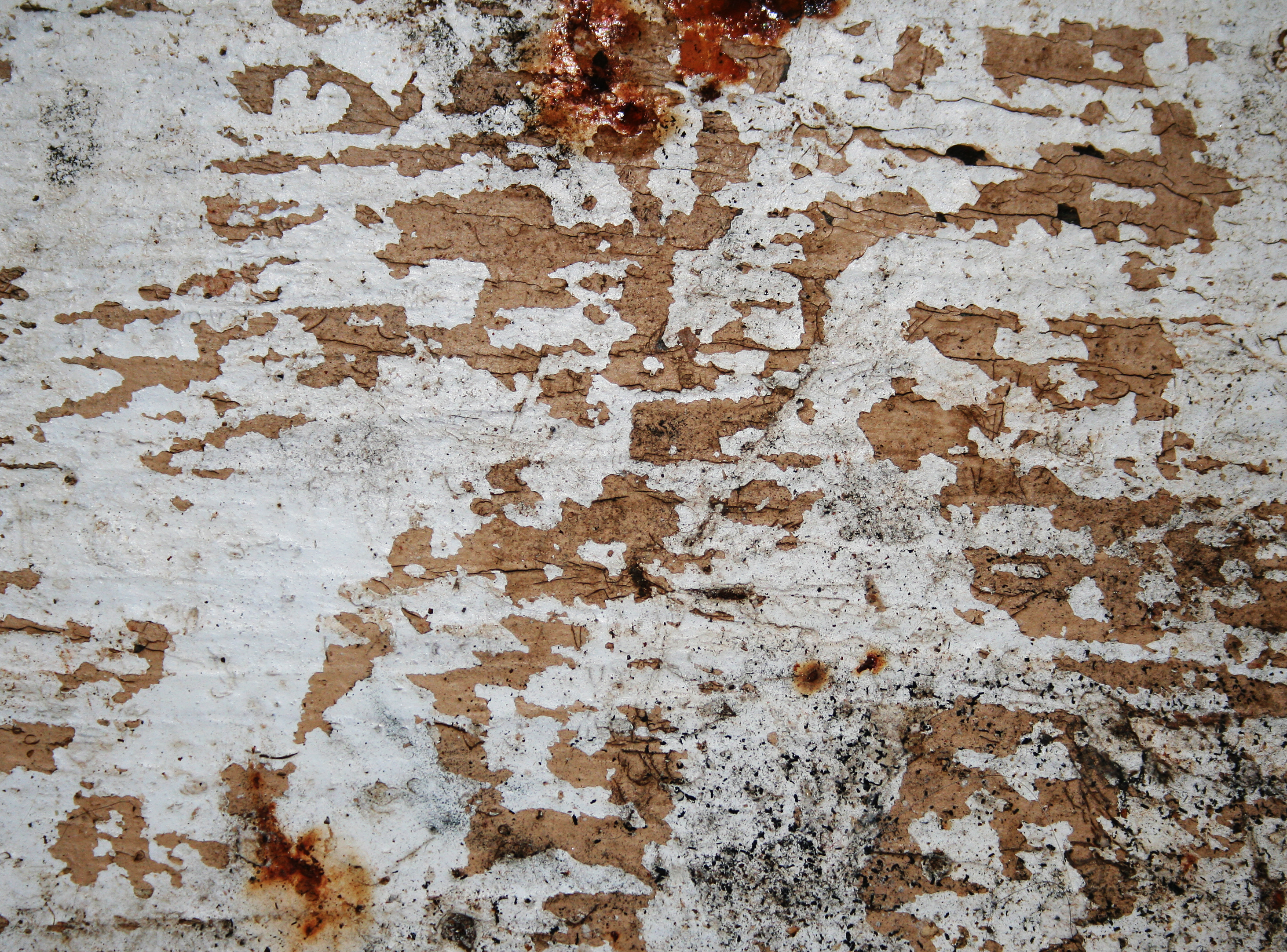 Dirty Grunge Wood, Abstract, Structure, Panel, Pine, HQ Photo