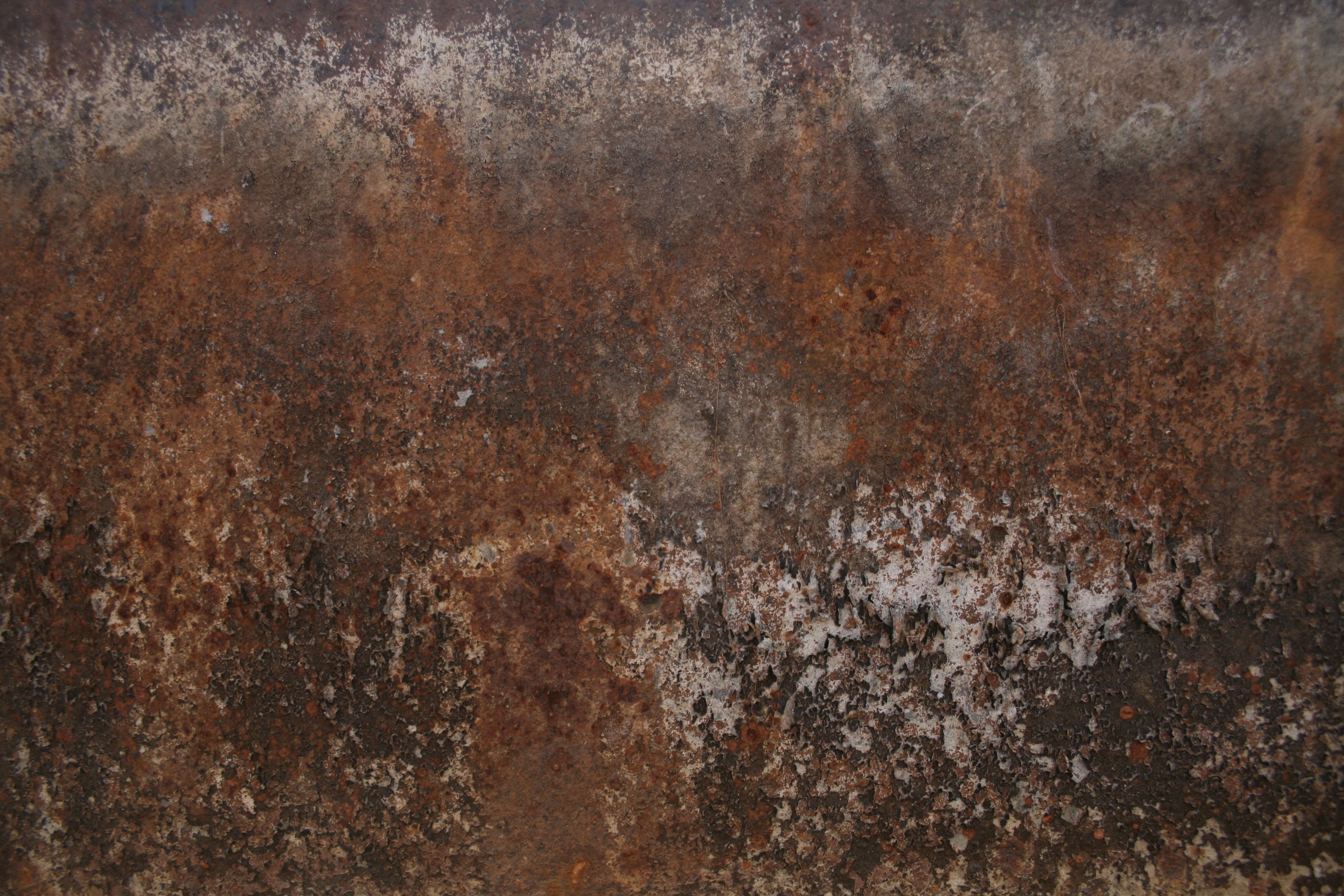 Rusted metal wall photo