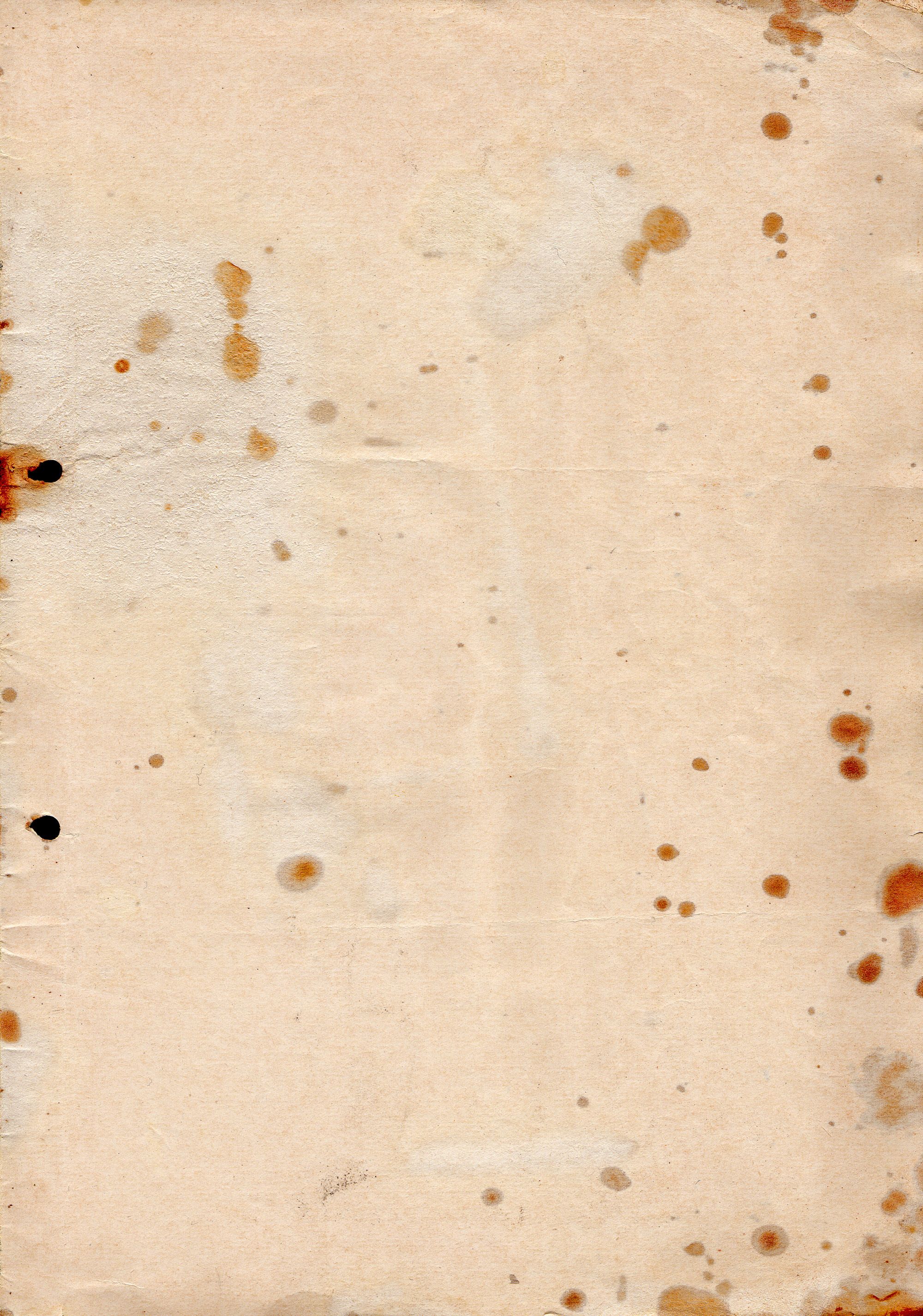 grungy_paper_v_9_by_bashcorpo.jpg (2000×2851) | Texture: Stained ...