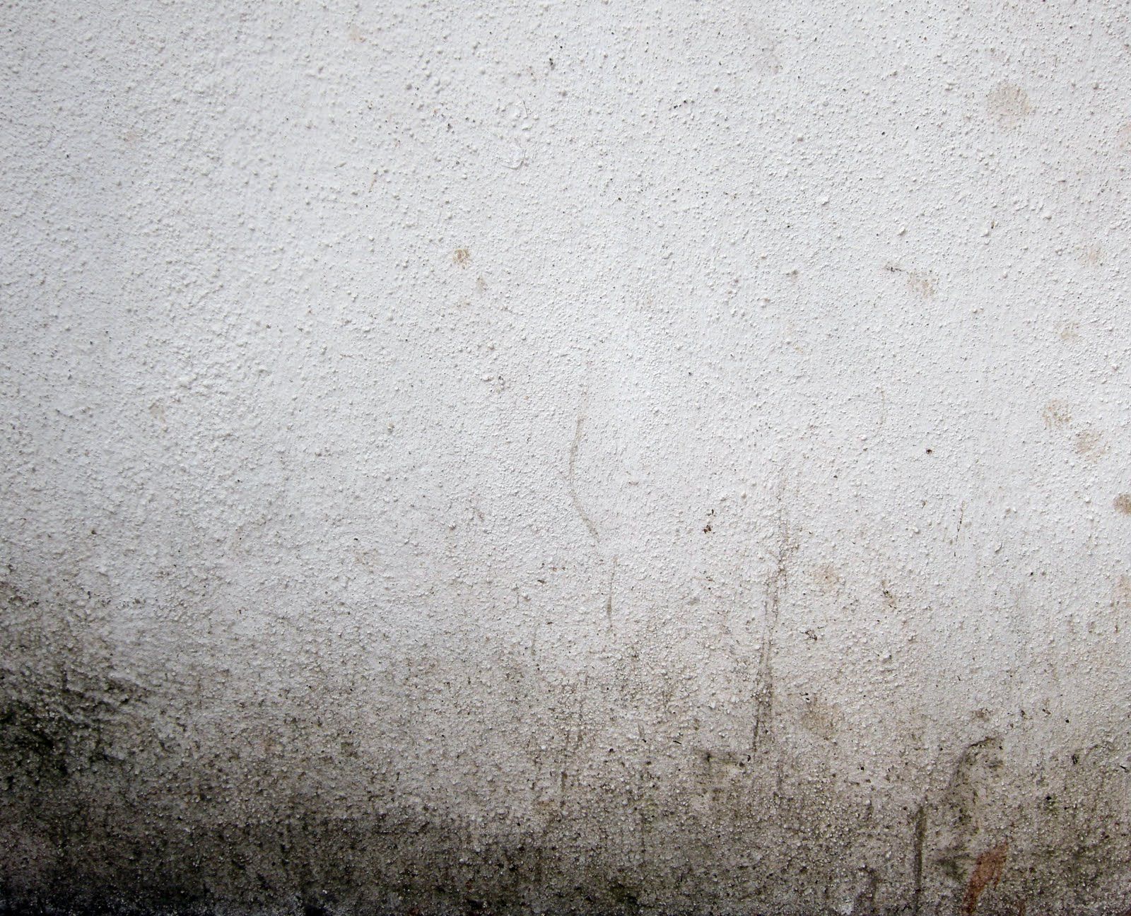 Dirty White Wall Texture Plaster and stucco wall leaves | Babaimage ...