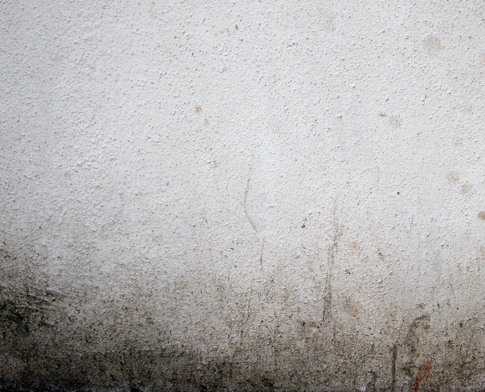 Dirty White Wall Texture Plaster And Stucco Leaves Babaimage Stock ...