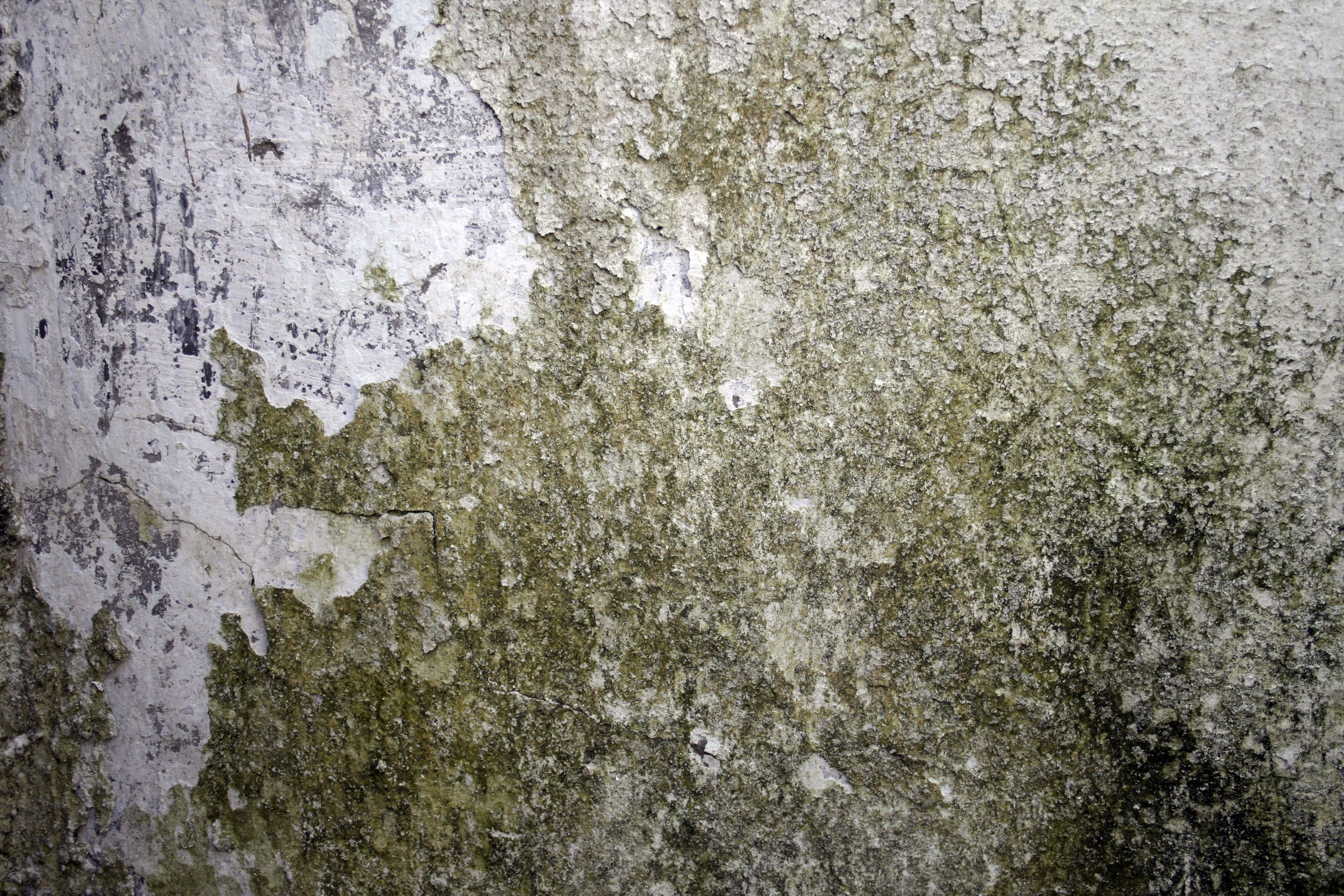 http://www.texturepalace.com/gallery/wall/110403/dirty-wall-texture ...