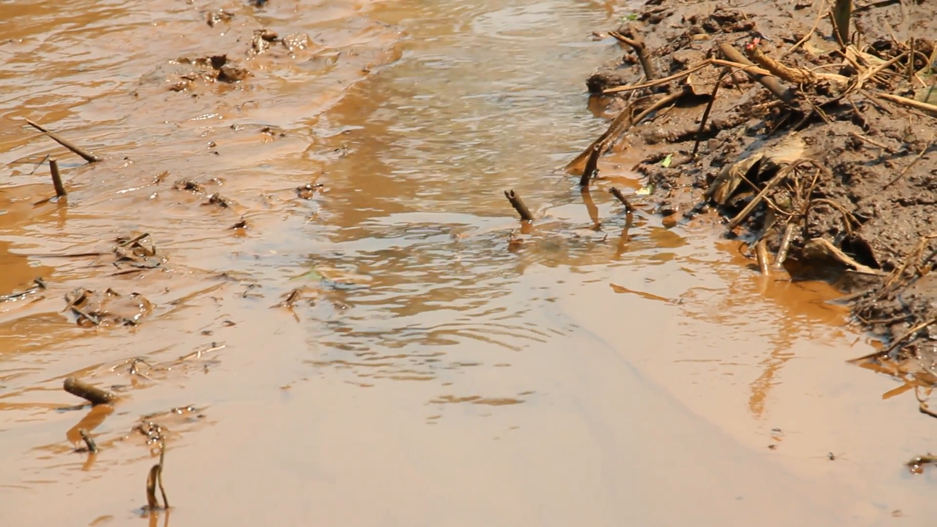 Dirty Water Flows Stock Video Footage - Videoblocks