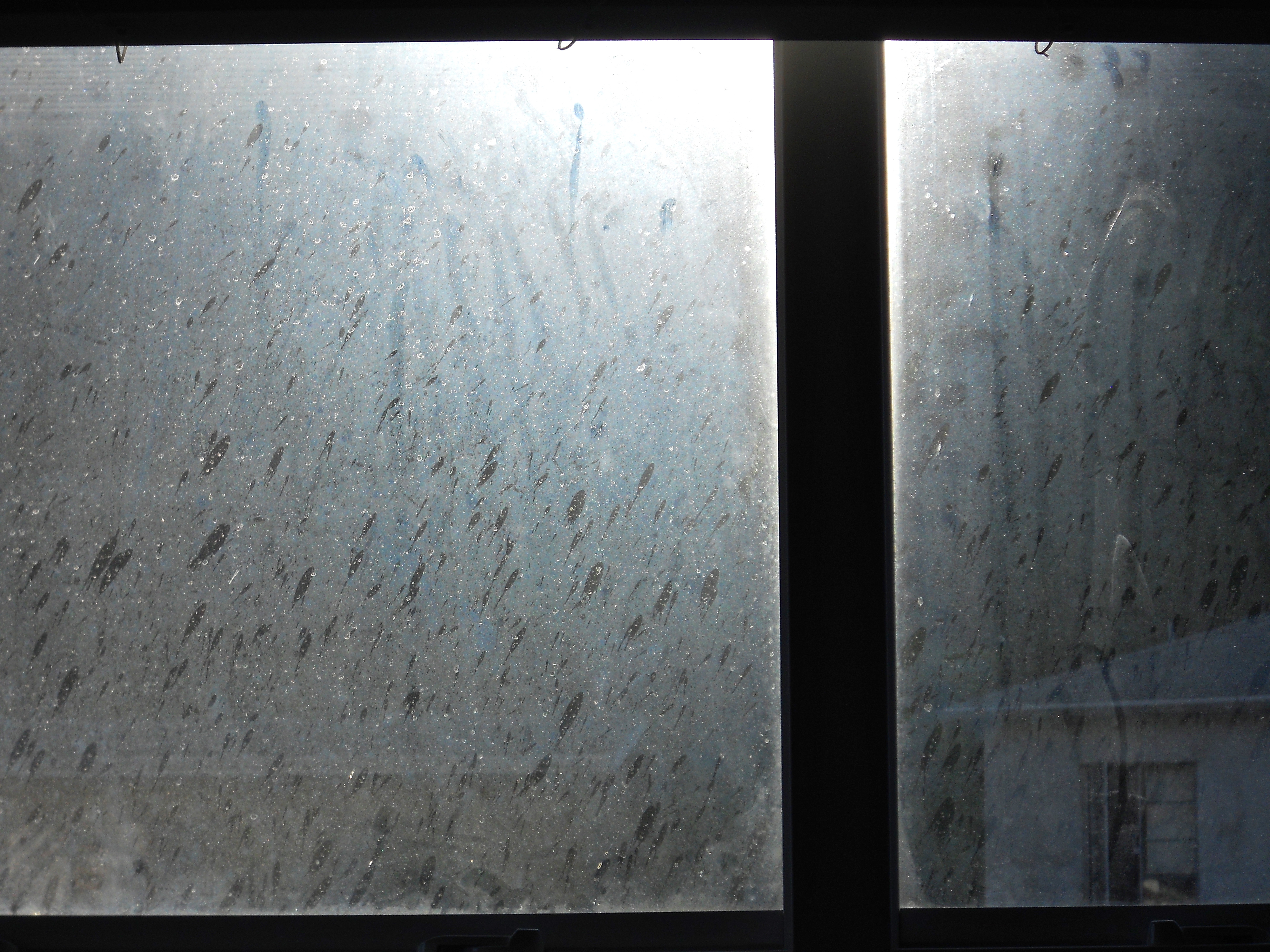 Dirty Window | Colin Manning