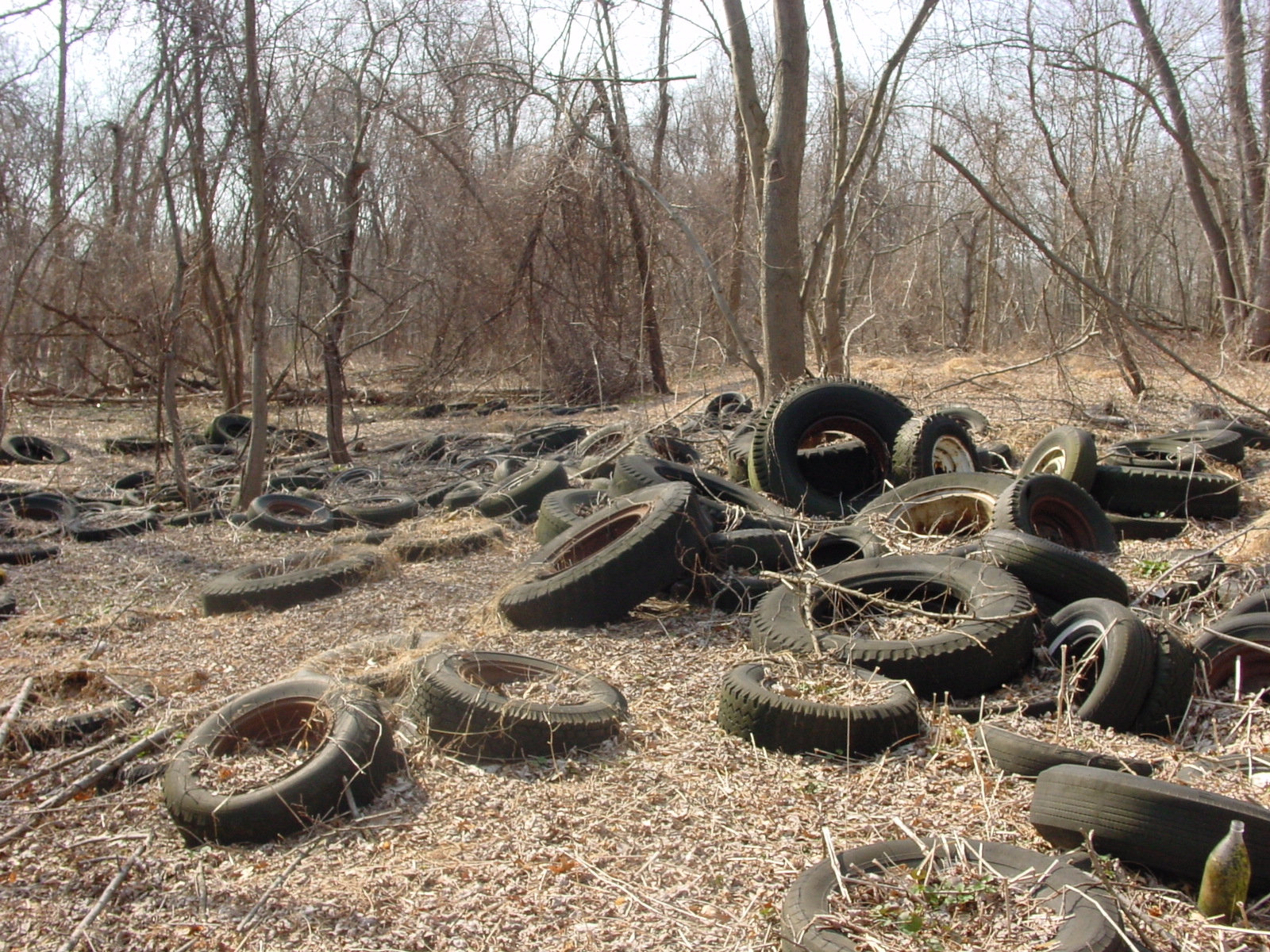 Morris County Mosquito Division and MUA Discarded Tire Collection ...