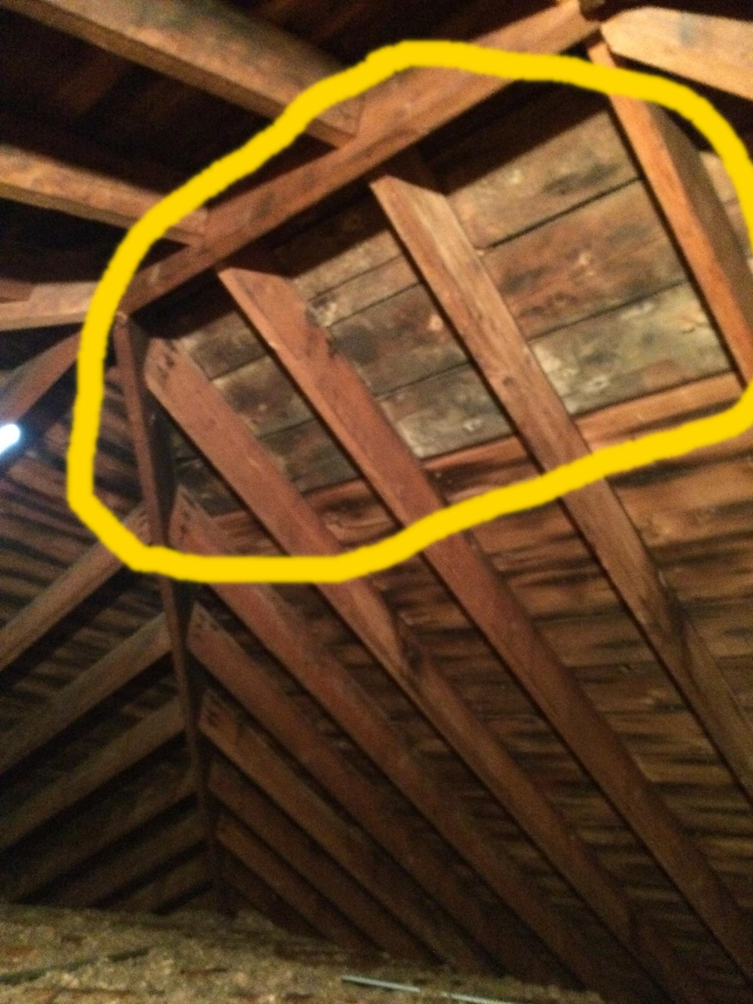 Is this Mold or Discoloration? Or Rooted Wood attic... - InterNACHI ...