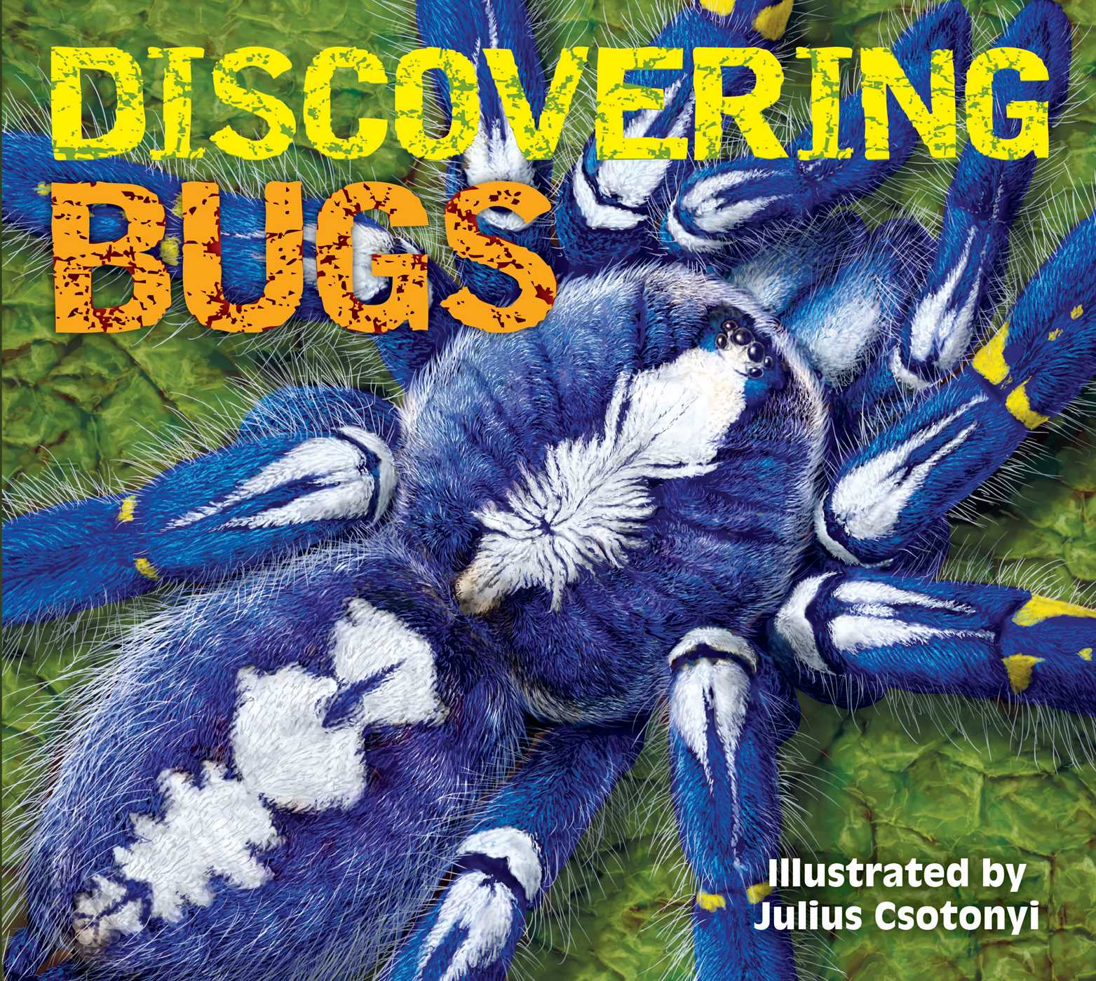Discovering Bugs | Book by Julius Csotonyi | Official Publisher Page ...