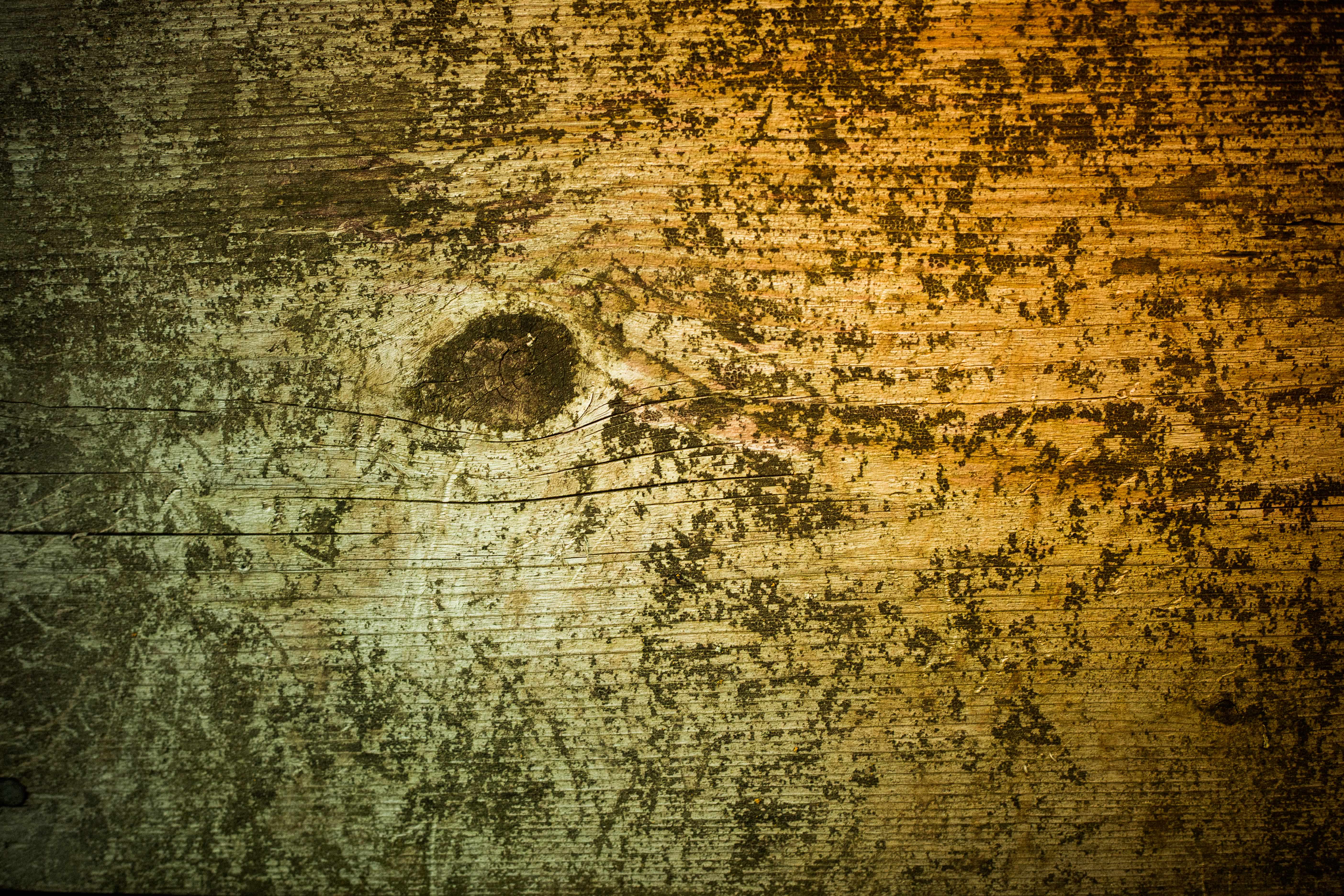 35+ Distressed Wood Textures, Photoshop Textures, Patterns ...