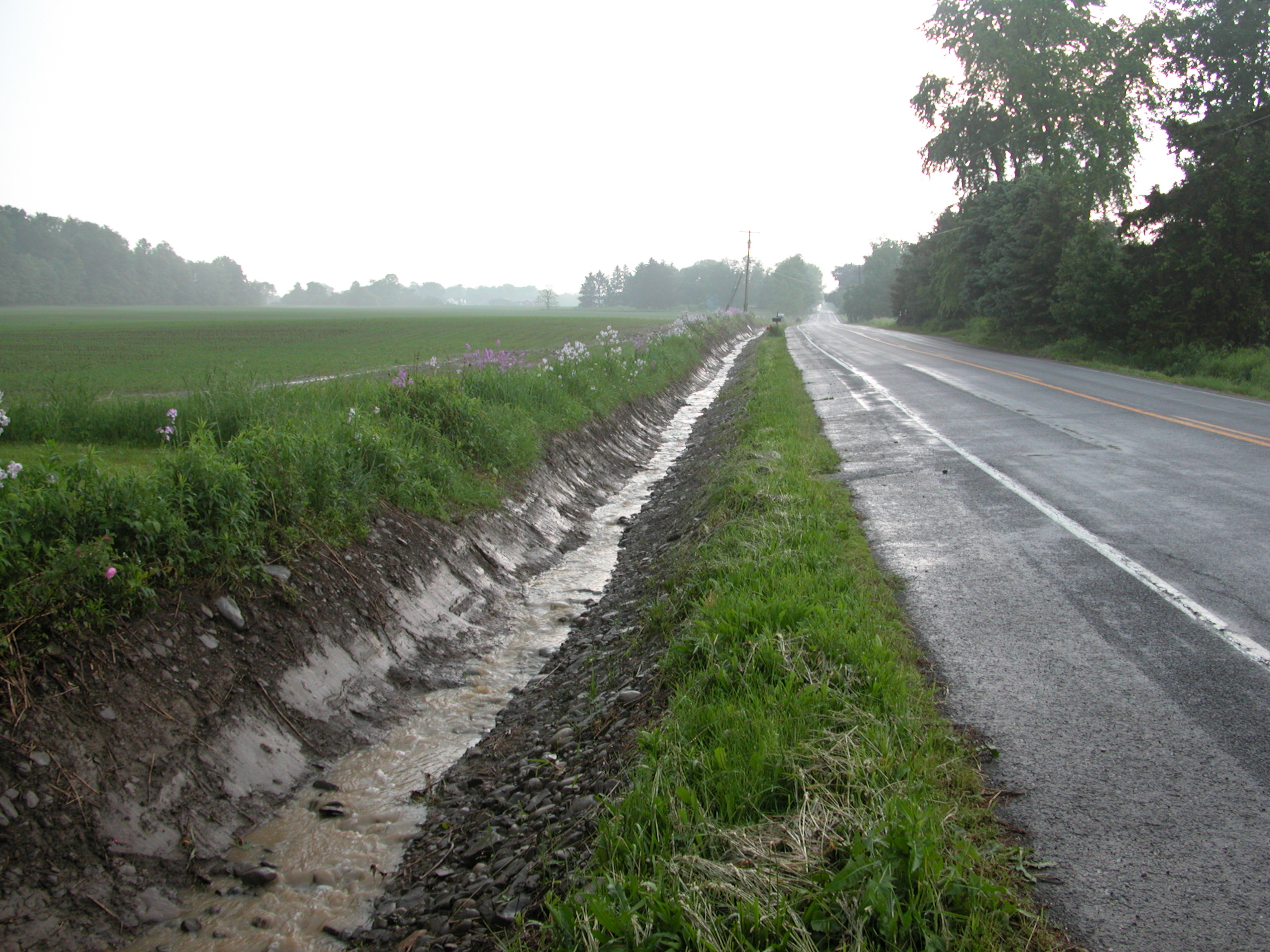 Roadside Ditches: Re-plumbing Watersheds | Sustainable Water ...