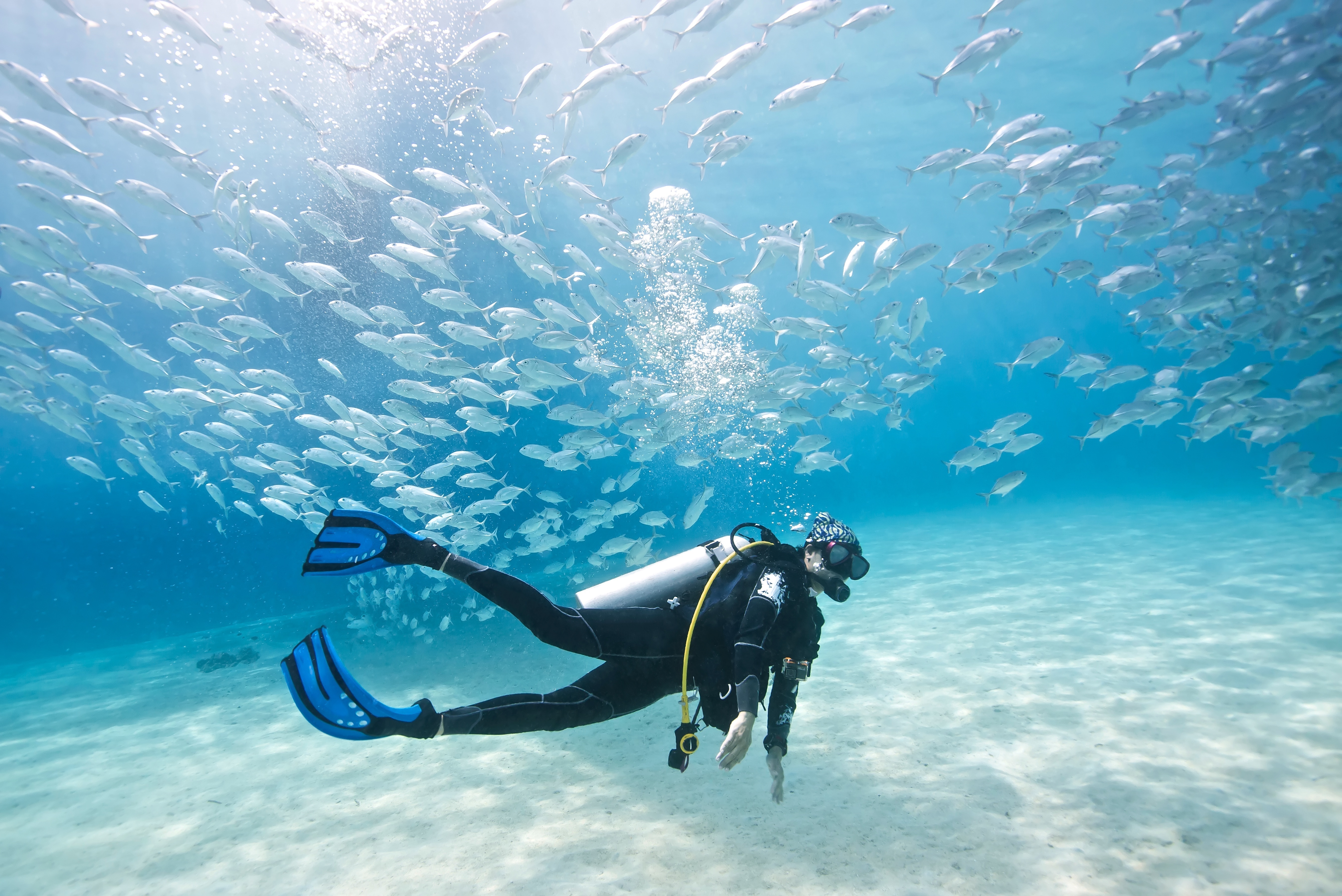 7 Reasons to be Thankful for Being a Diver
