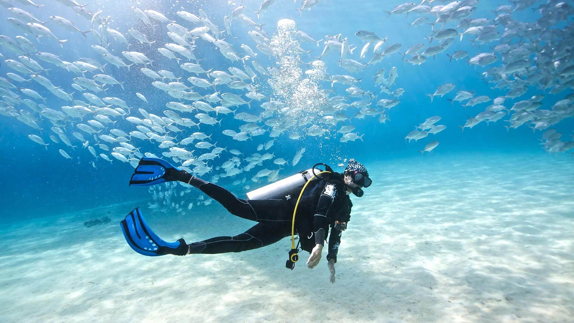 Scuba Diving In Phuket, Thailand | Aussie Divers Phuket