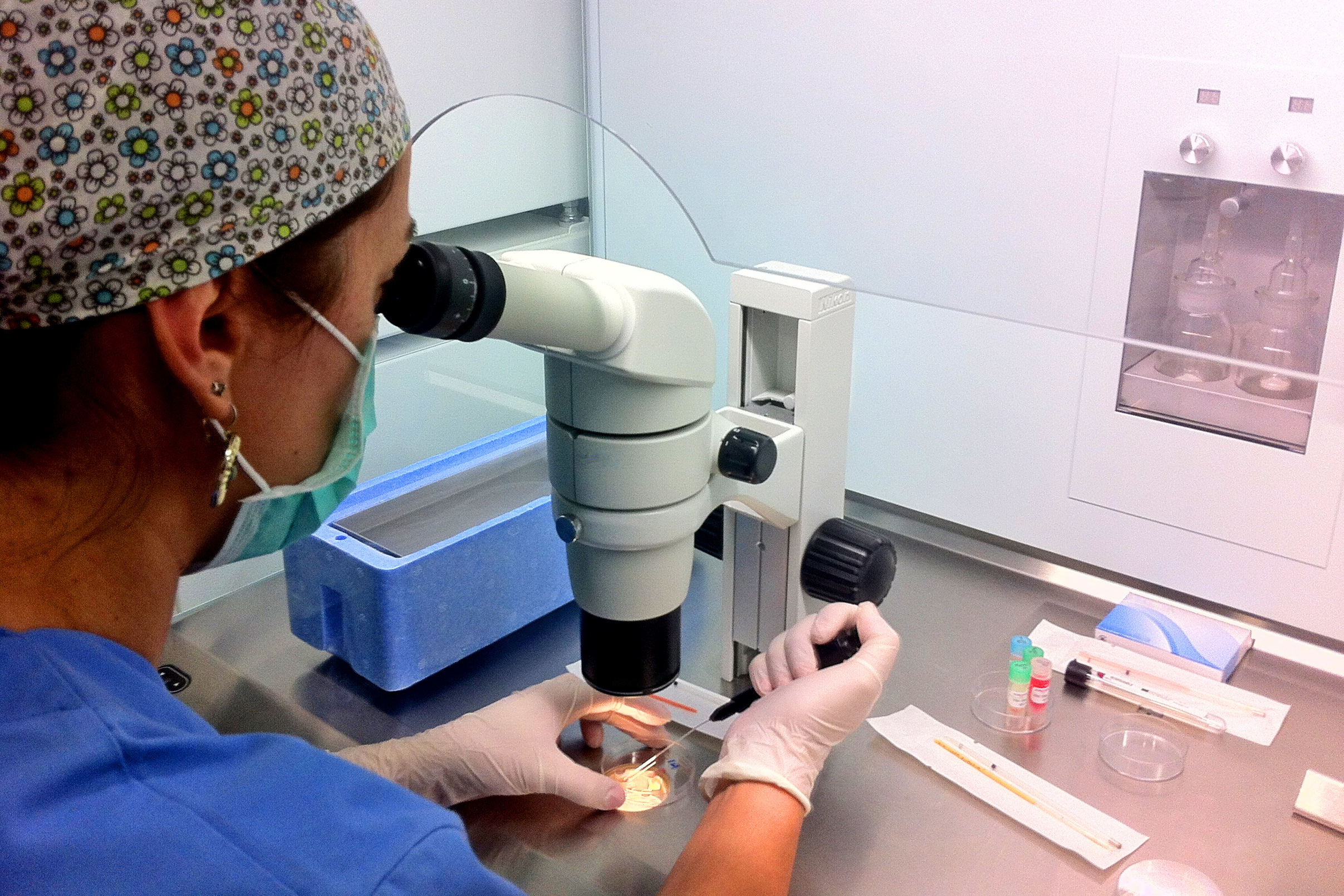 Doctor - embryologist photo
