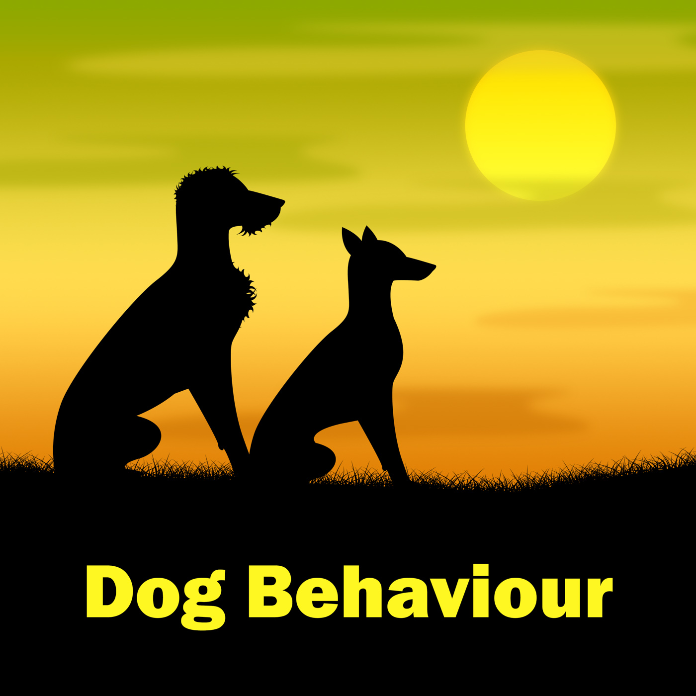 Dog behaviour means actions landscape and pup photo