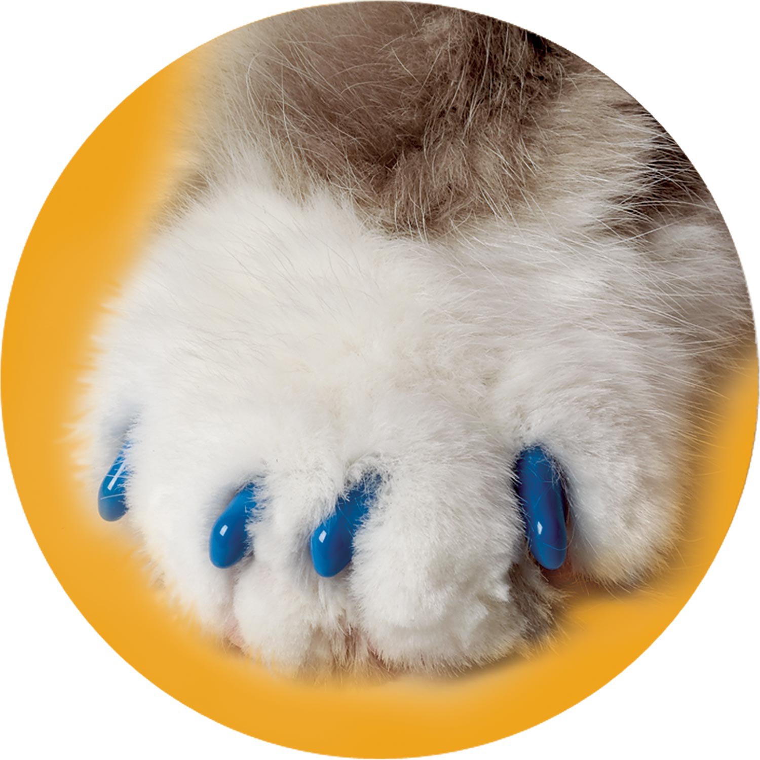Soft Claws Blue Cat Nail Caps | Petco