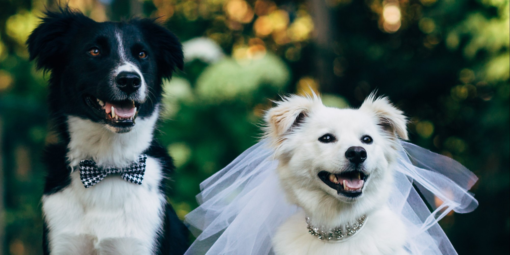 10 Signs You And Your Dog Are Basically An Old Married Couple