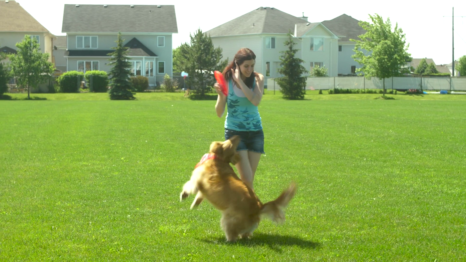 Girl and golden retriever dog in park with frisbee Stock Video ...