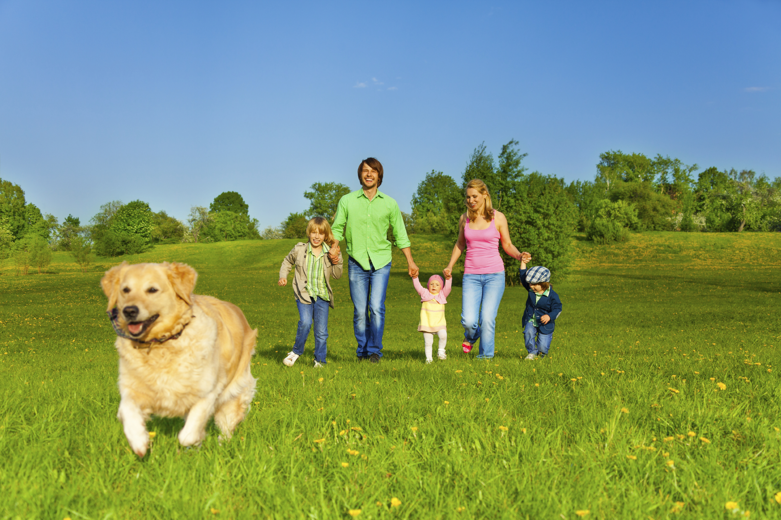 family walks with running dog in park | Billings Animal Family ...