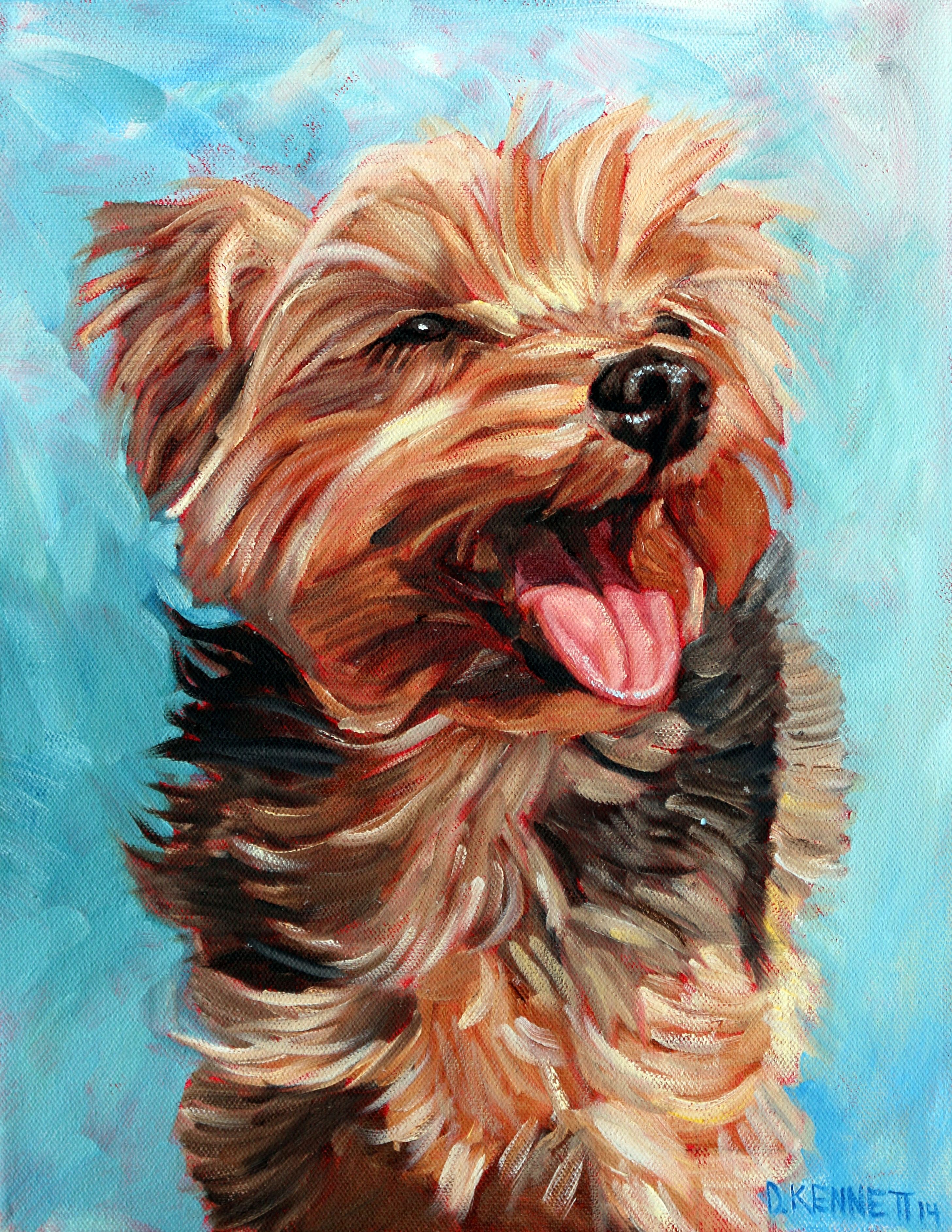 Yorkshire Terrier - Energetic and Affectionate | Yorkshire terrier ...