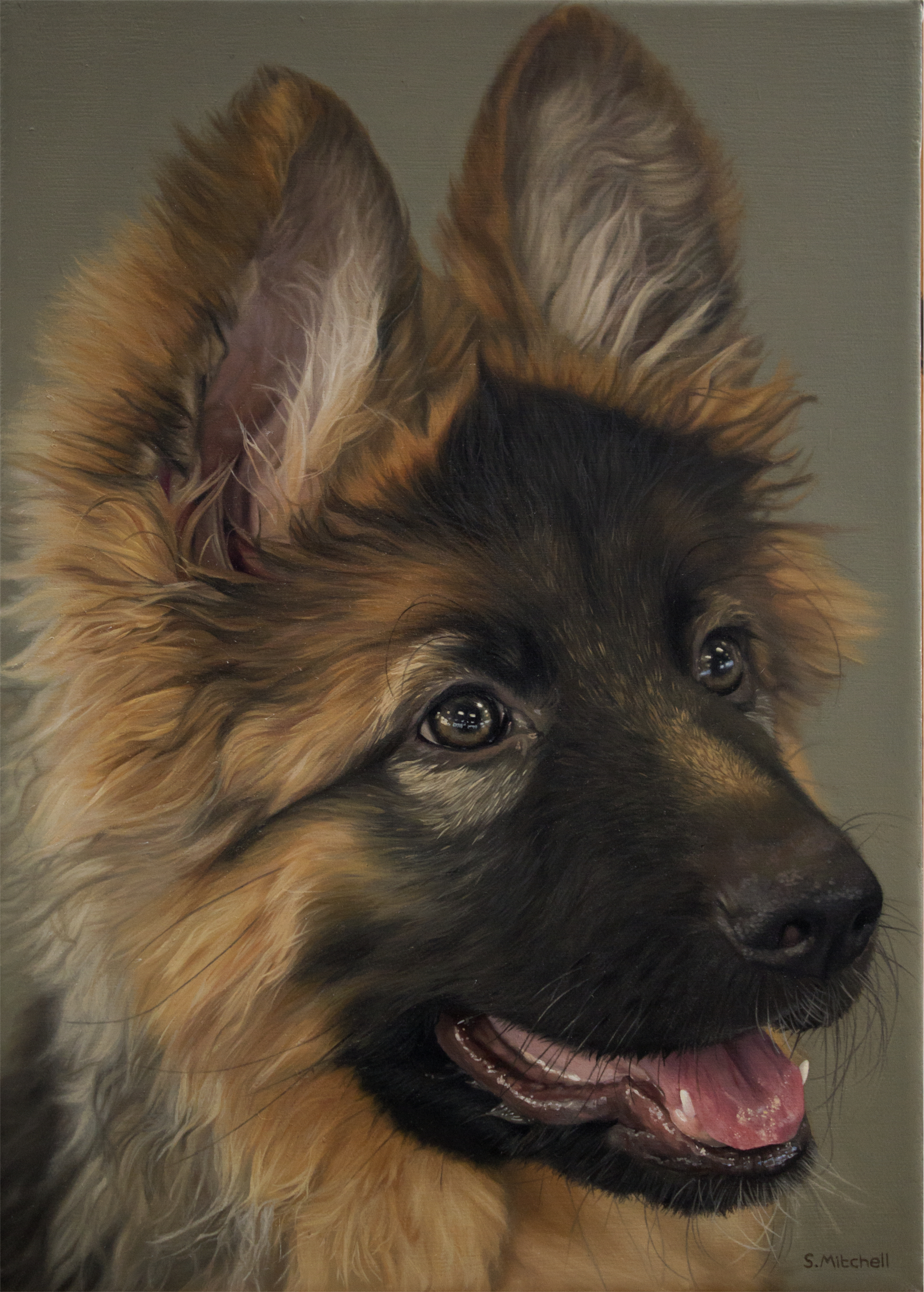 My oil painting of a fellow Redditor's pet dog, I hope you like it ...