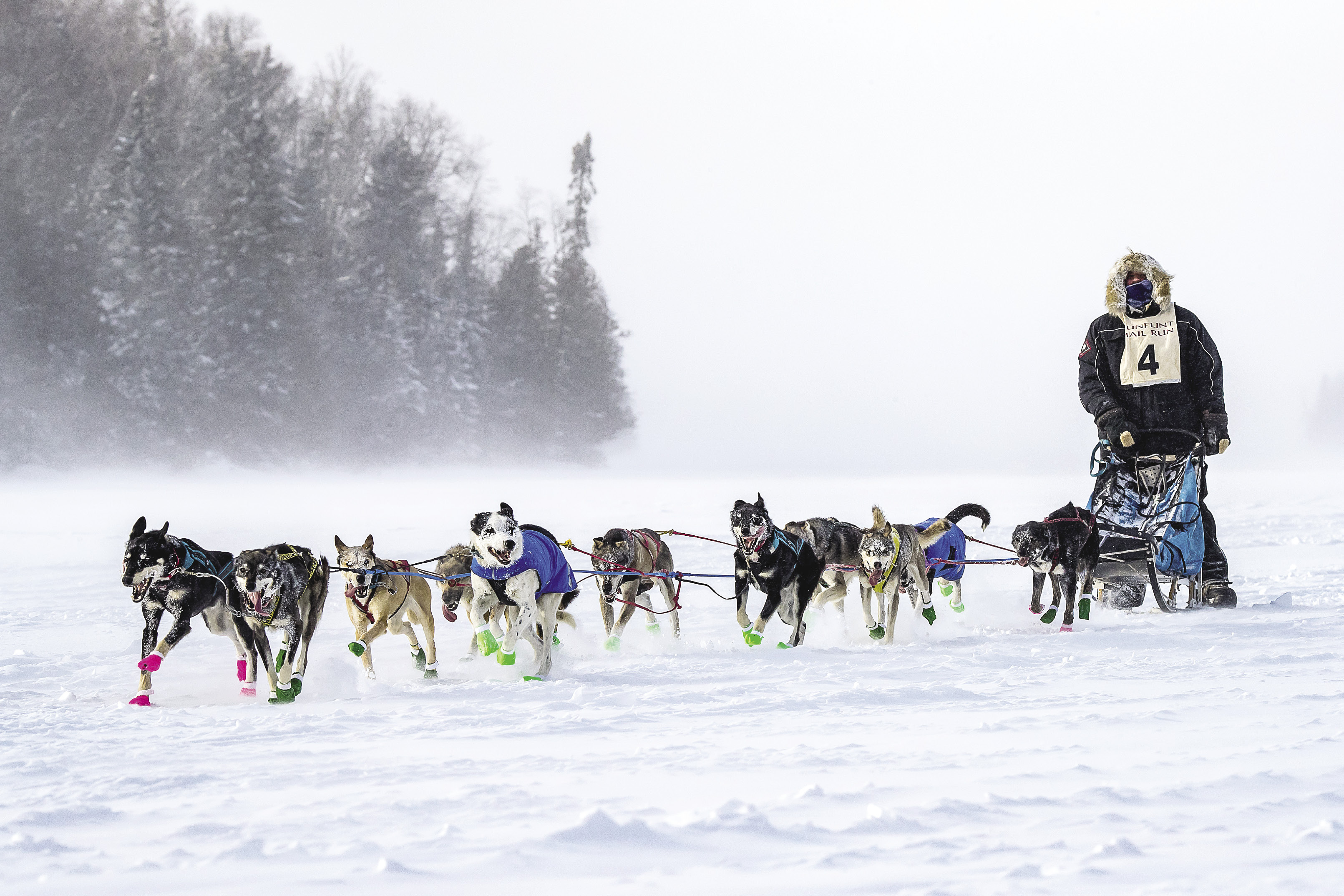 Learning to Enjoy the Dog Sled Ride | Northern Wilds