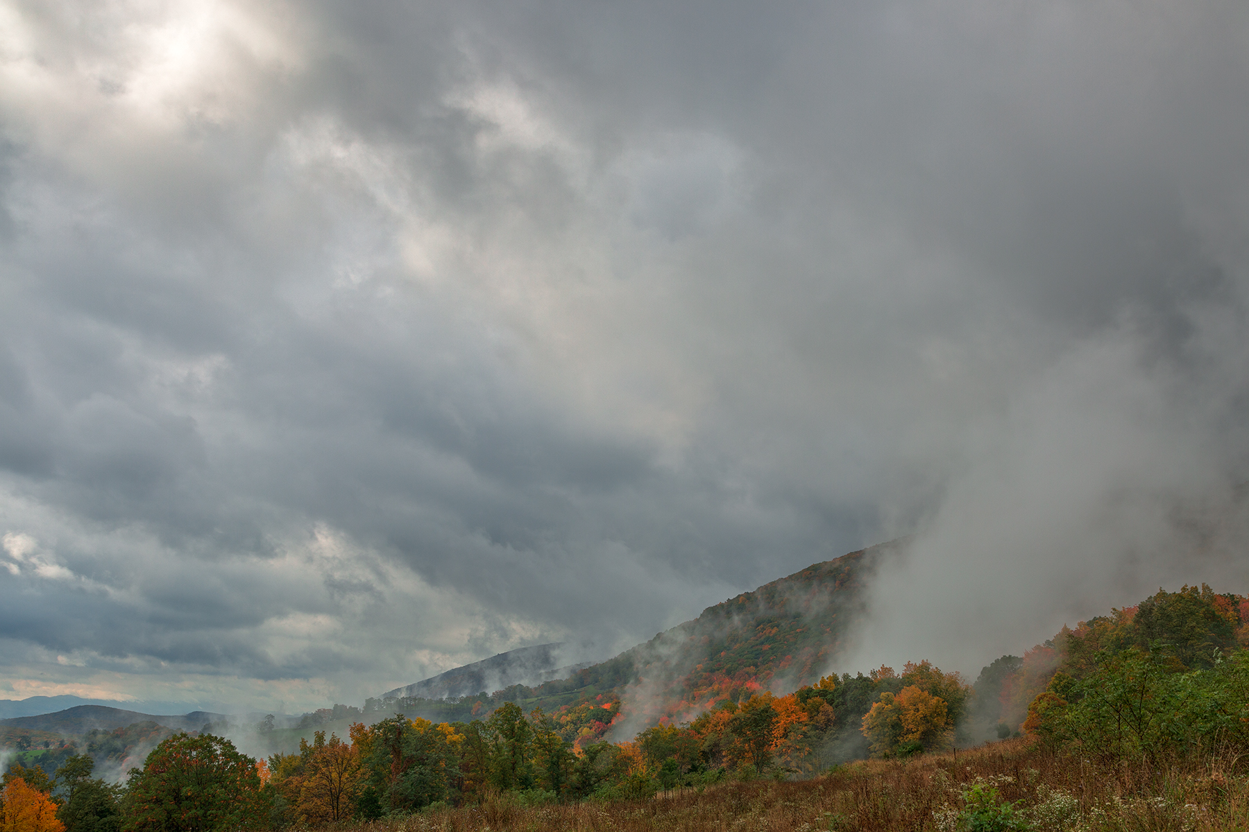 Dolly sods mountain fog - hdr photo