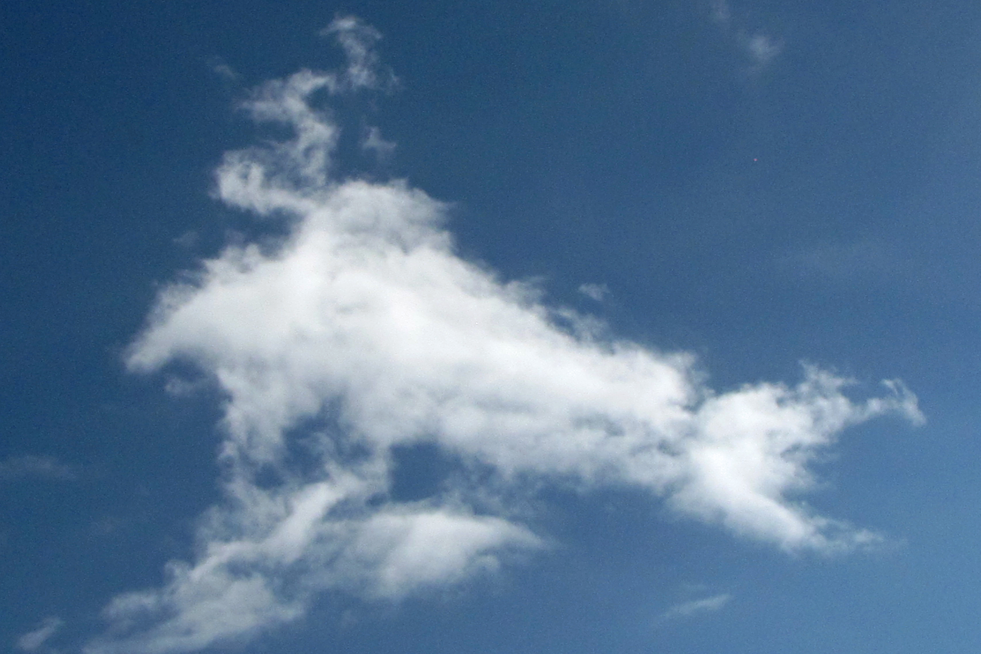 Cloud Pareidolia, or early skeptic education for the young…(“I see a ...