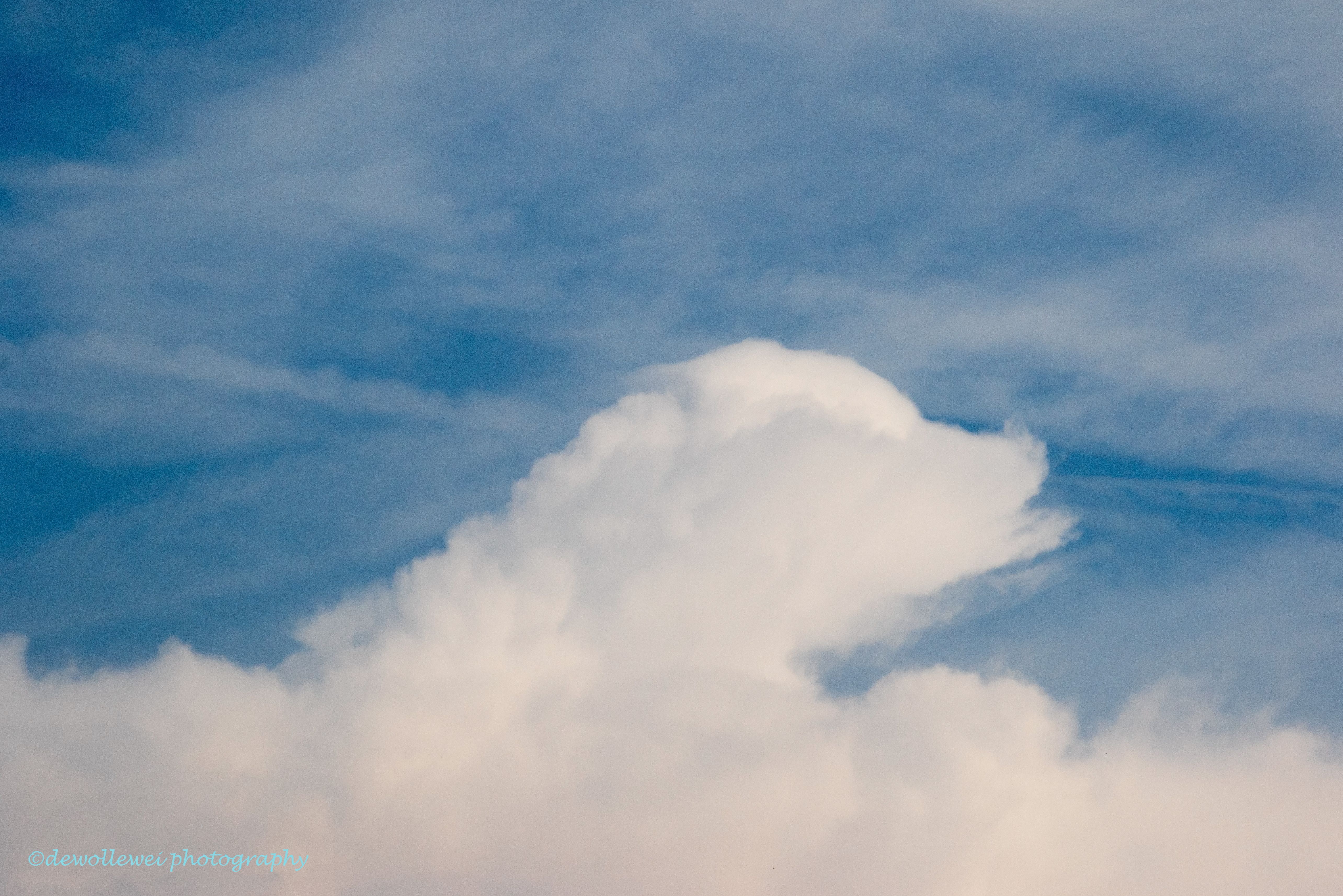 dolphin cloud by C. Bol | cloud figures | Pinterest | Cloud