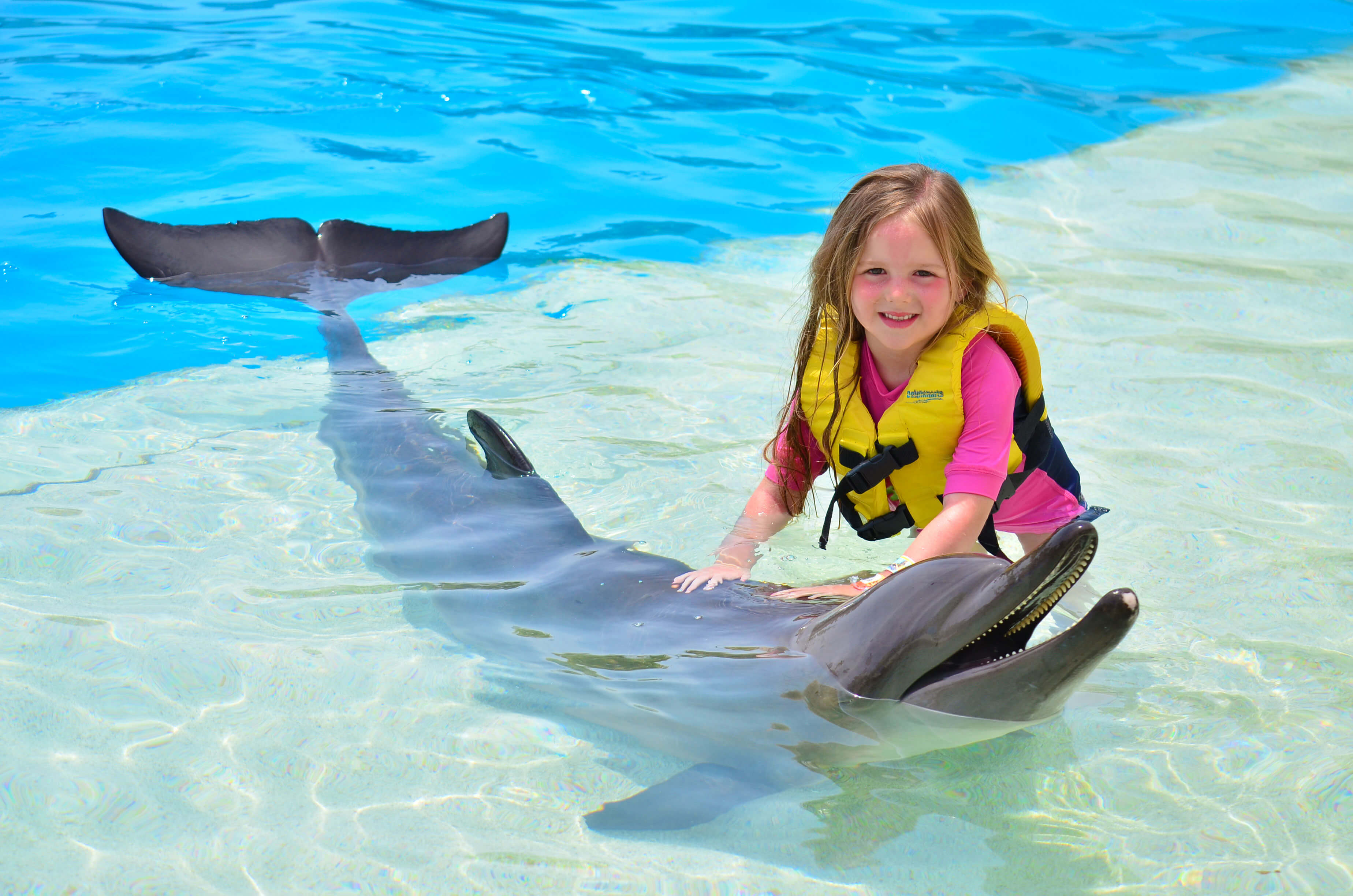 Swim with Dolphins for Non Swimmers and Kids | Dolphinaris