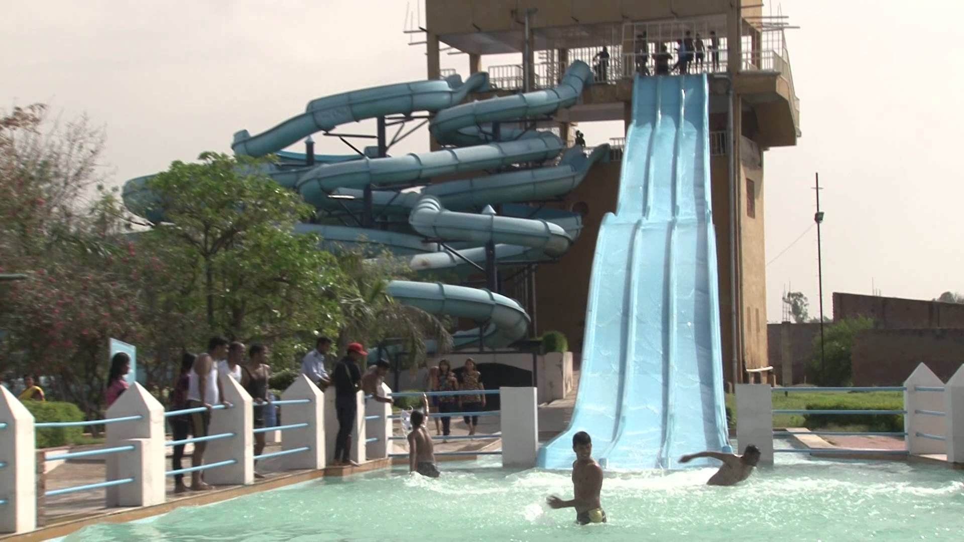 Dolphin water park photo