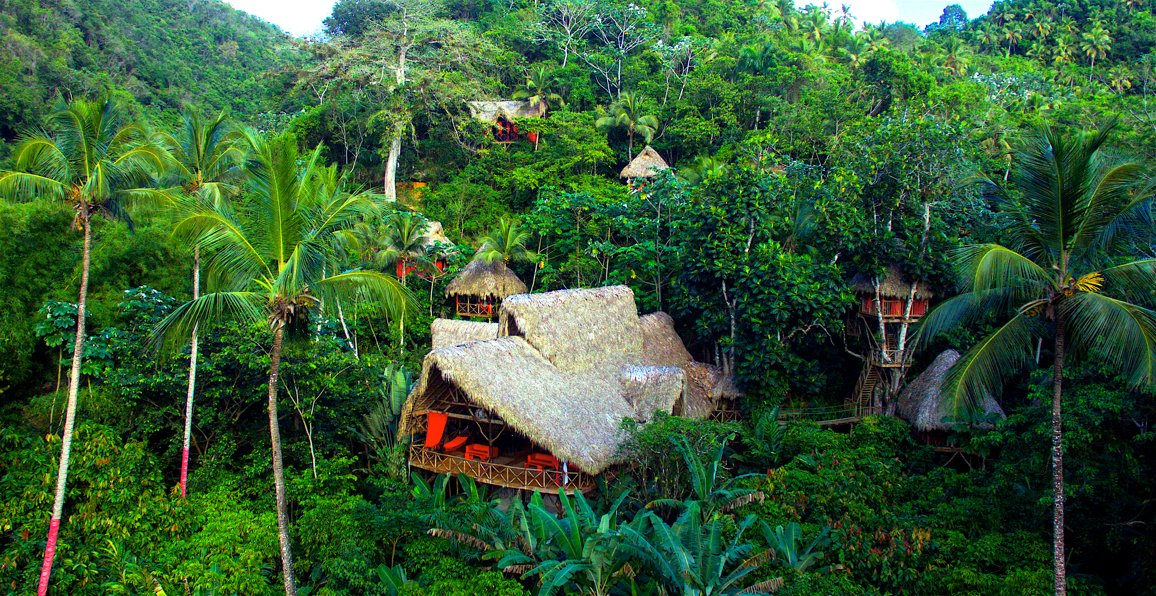 Thrilling tree house stay in the tropical rain forest of the ...