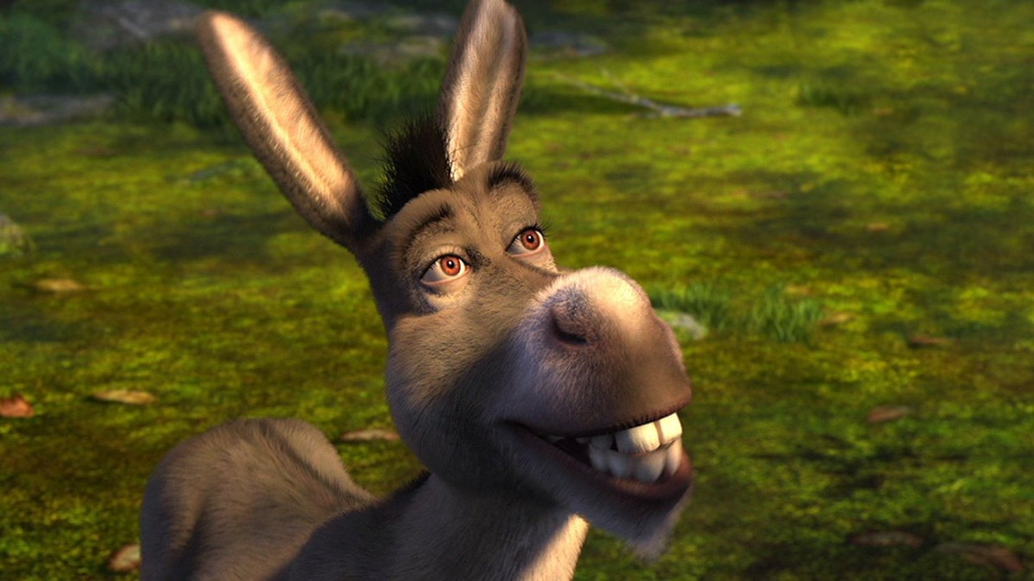 From Otis Redding to the donkey in Shrek: Try a Little Tenderness. 