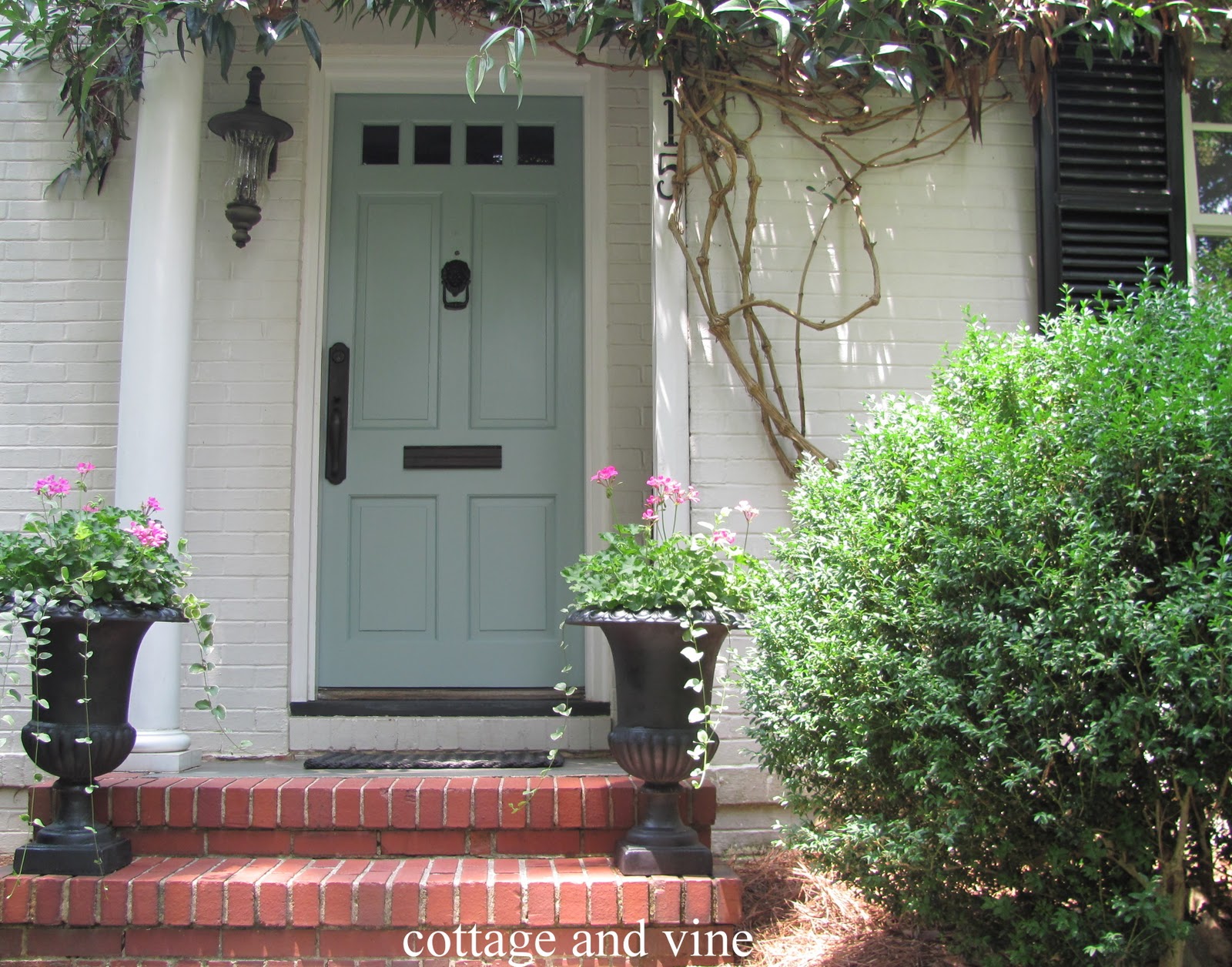 Cottage and Vine: My Door Is Blue