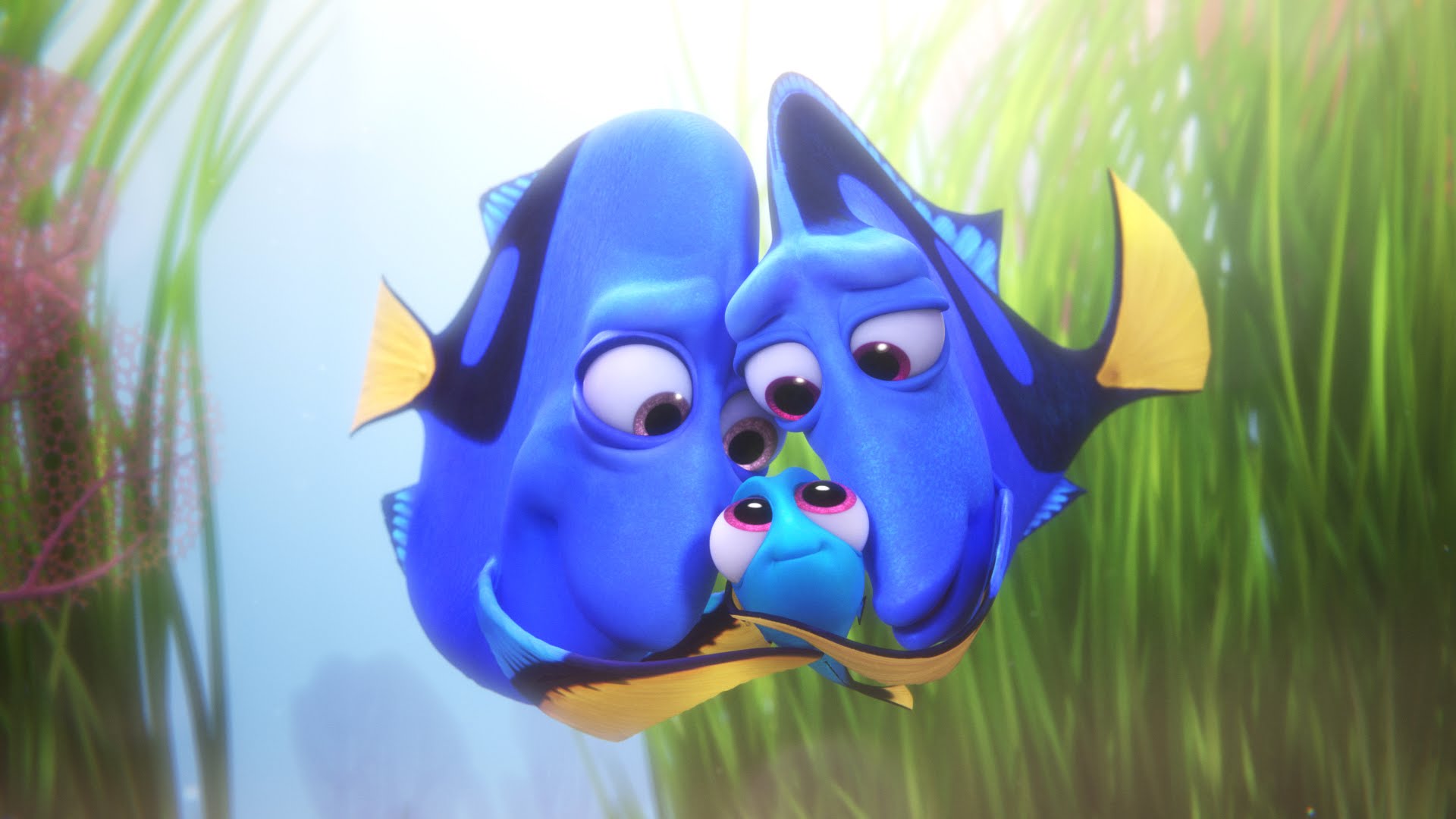 Finding Dory ALL MOVIE CLIPS - 2016 Pixar Animation - YouTube
