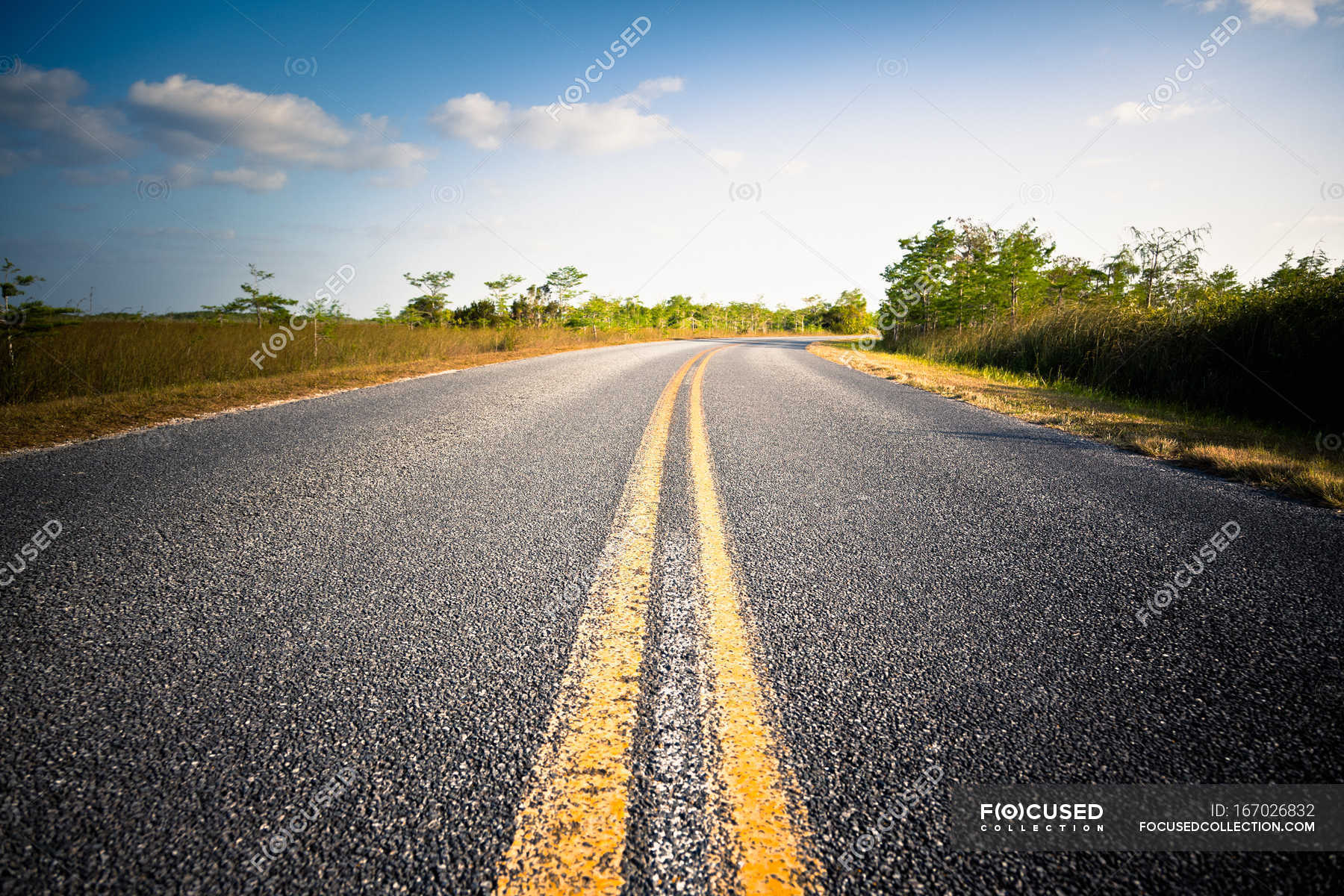Double yellow line on winding road — Stock Photo | #167026832