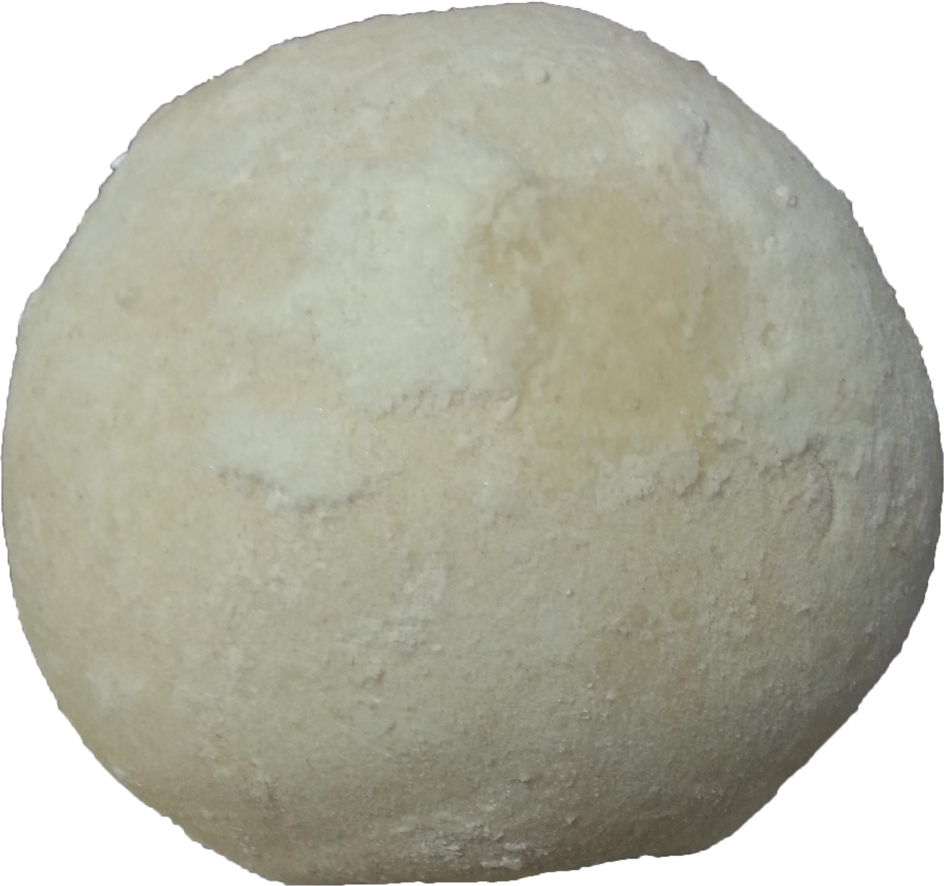 Pizza Dough Ball – Klesick's