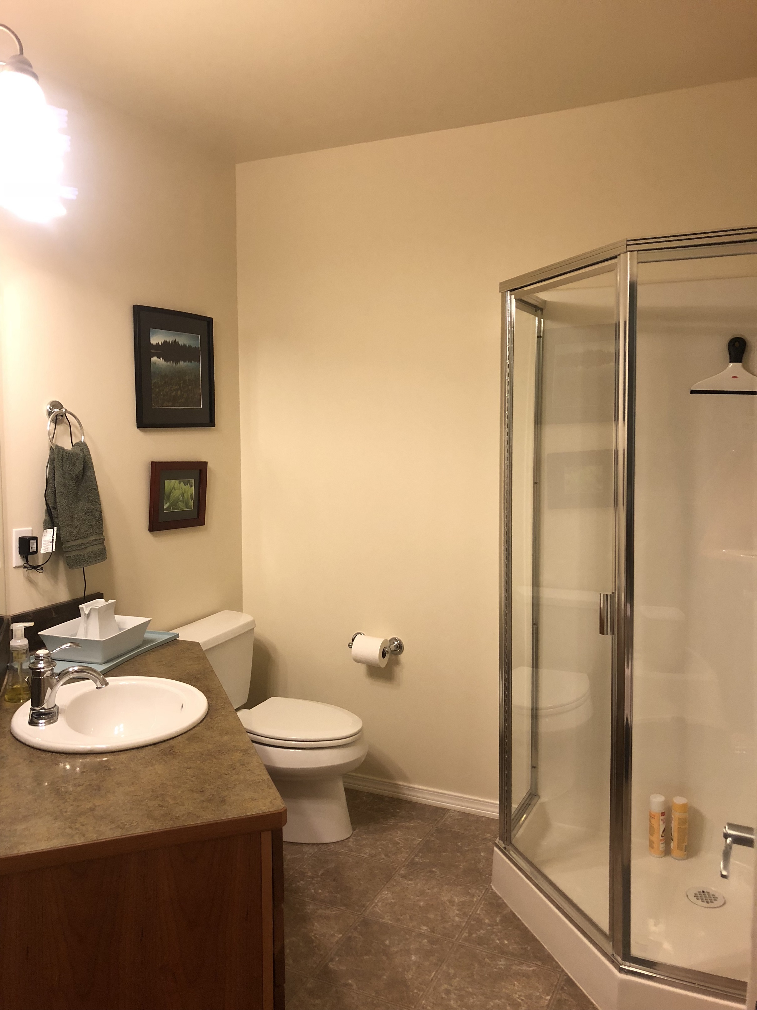 Downstairs Bathroom - Son-Rise Property Management