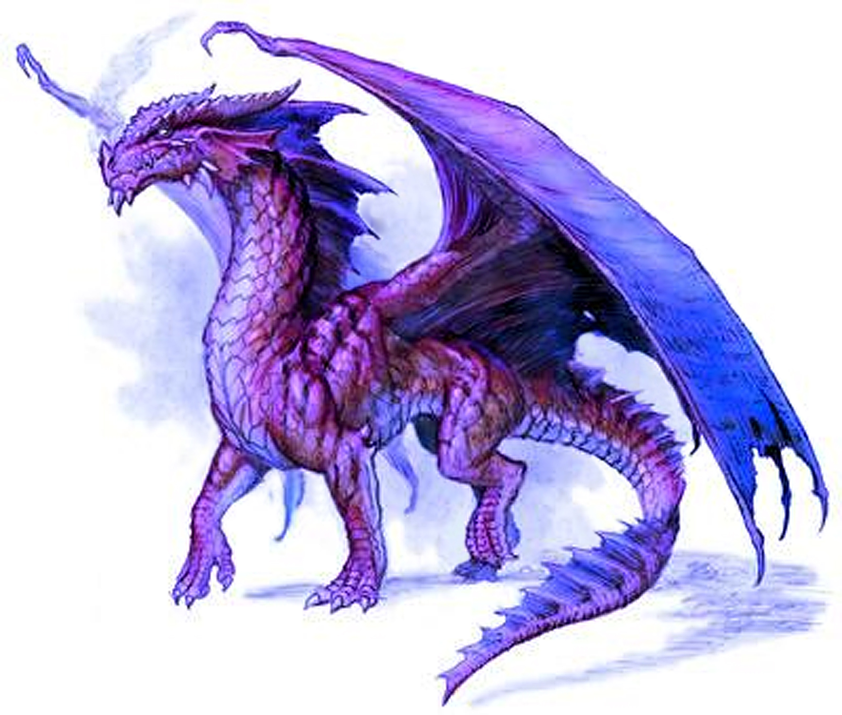 What Dragon Are You? | Playbuzz