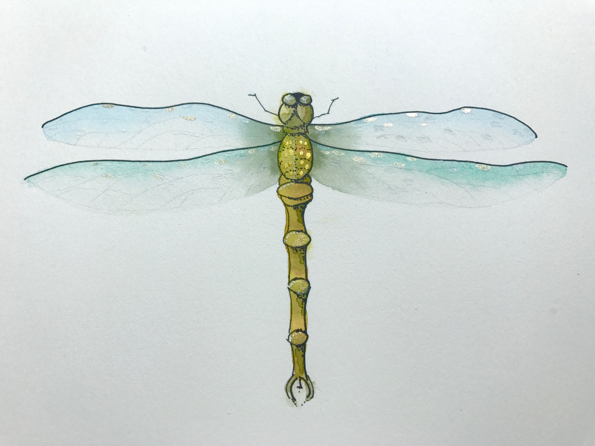 Painting Dragonflies: A Step-By-Step Guide For Watercolor Dragonflies